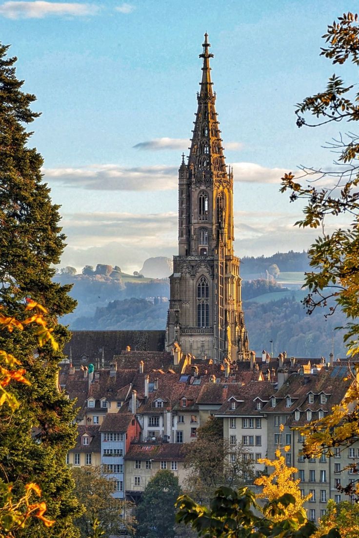 736x1104 Autumn Views of Bern Cathedral: A Swiss Masterpiece