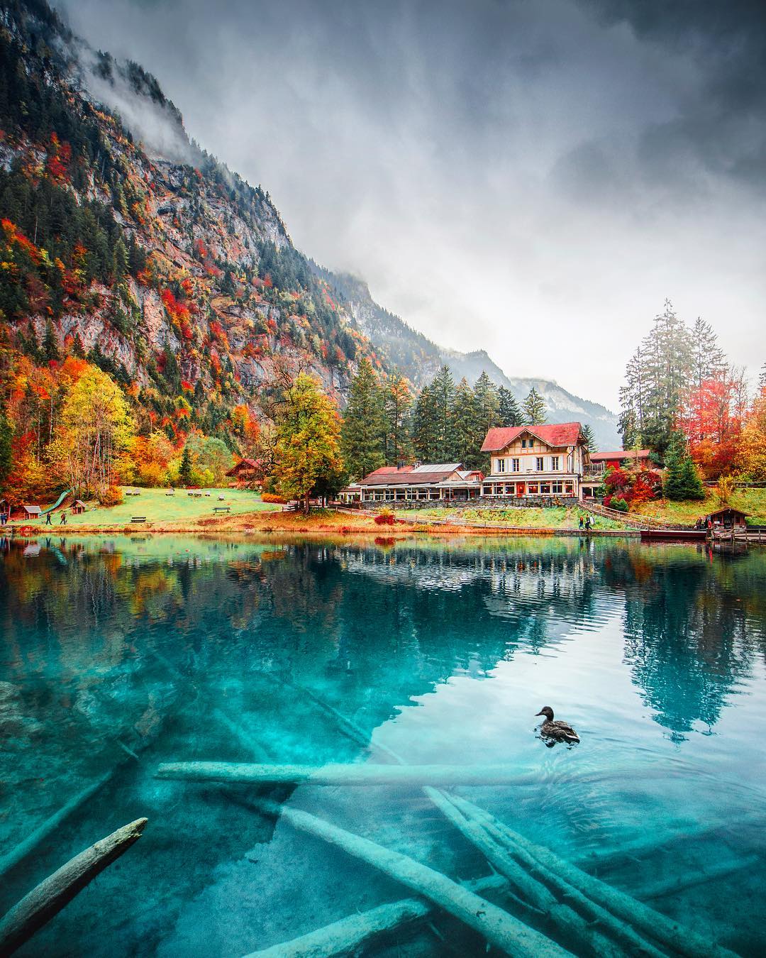 1080x1350 Lake Blausee, Bern, Switzerland