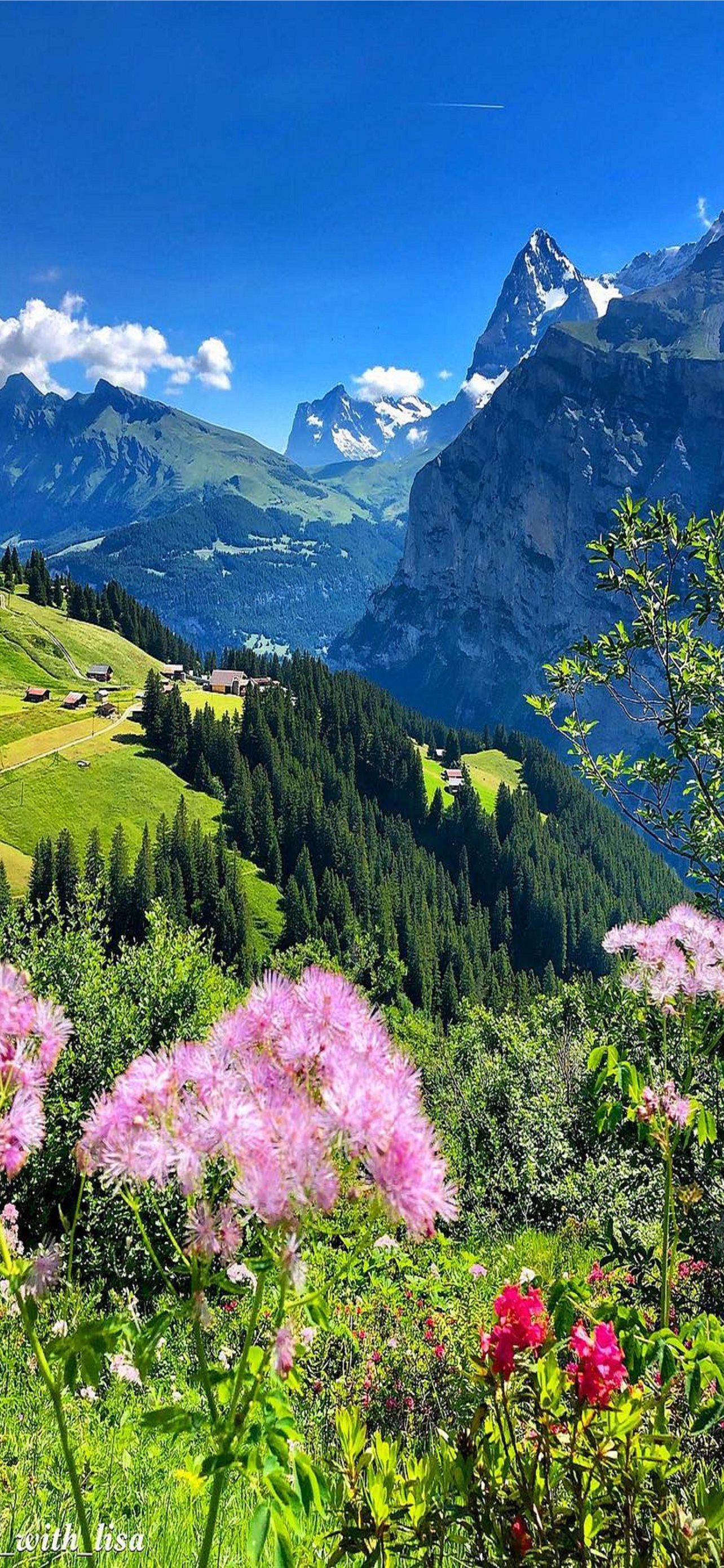 1284x2778 bern iPhone Wallpaper Free Download
