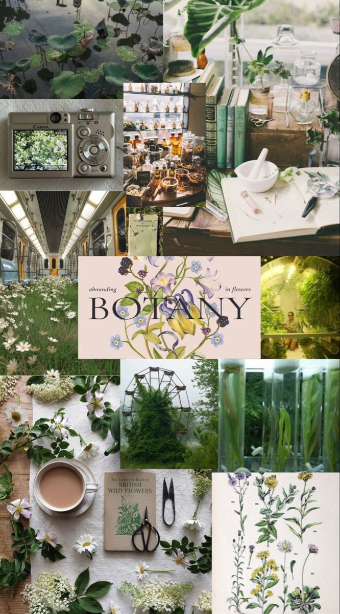 666x1200 botany aesthetic
