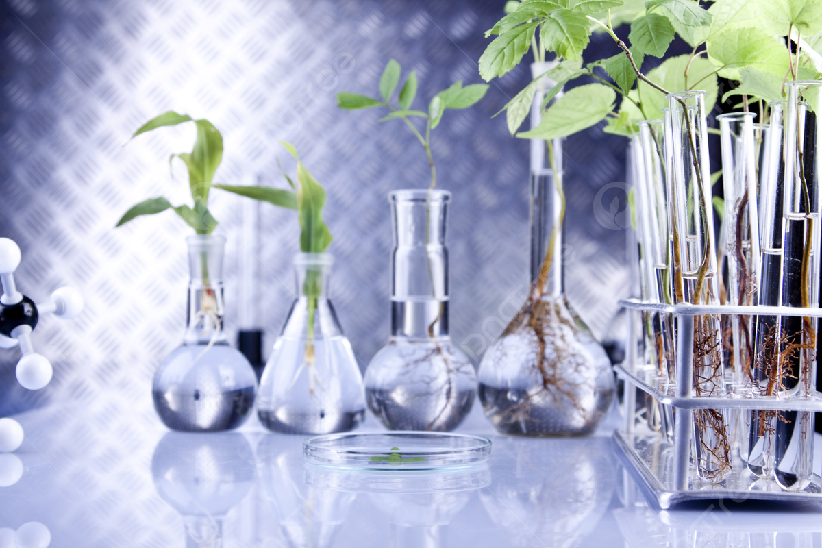 1200x800 Plant Science Lab Background Image, HD Picture and Wallpaper For Free Download