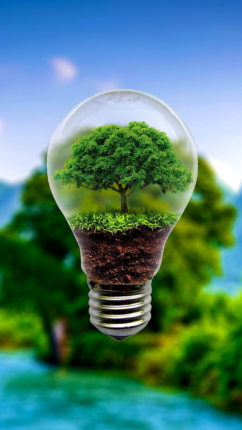 800x1422 HD natural science wallpaper