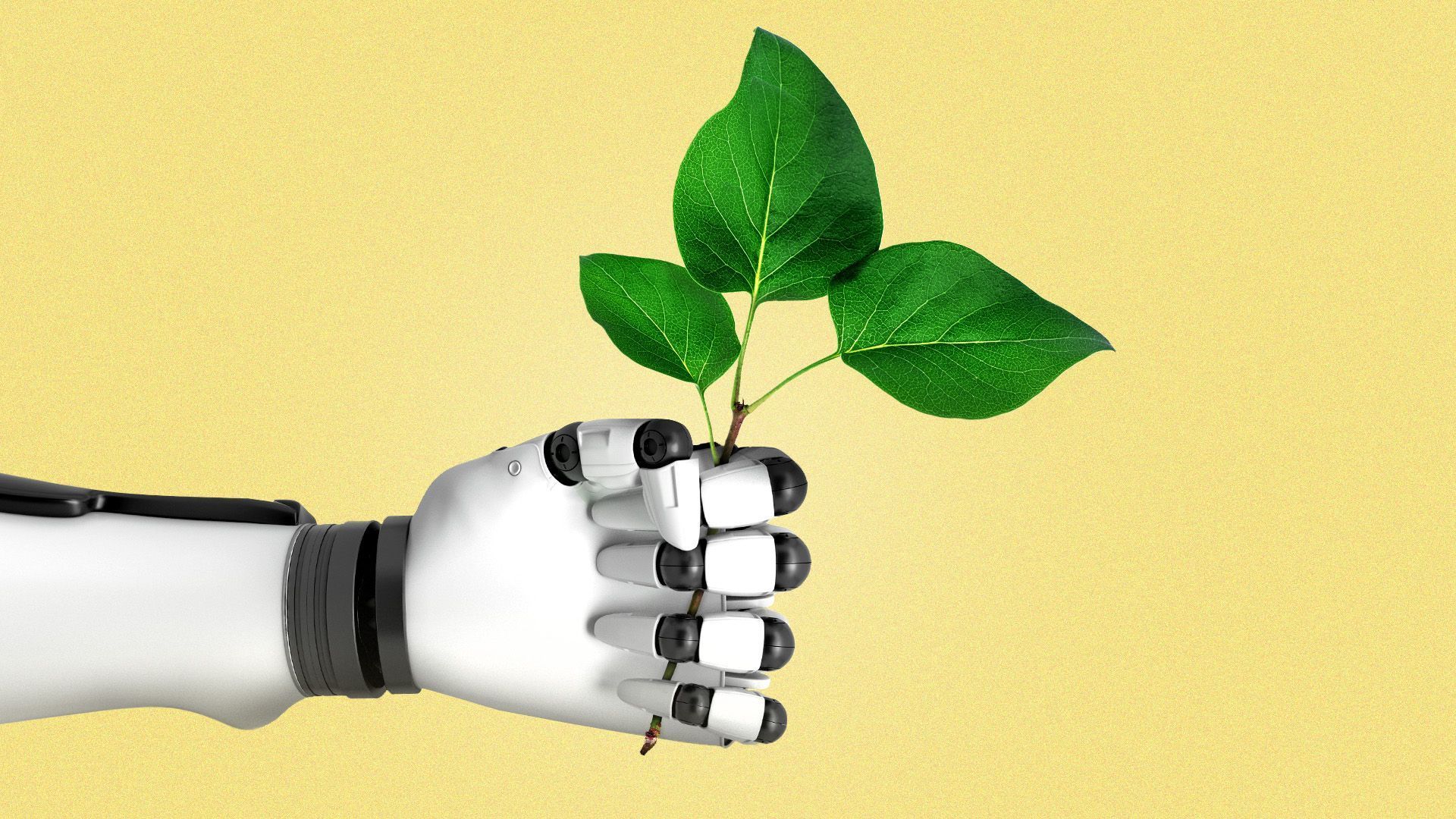 1920x1080 AI uncovers how plant science evolved