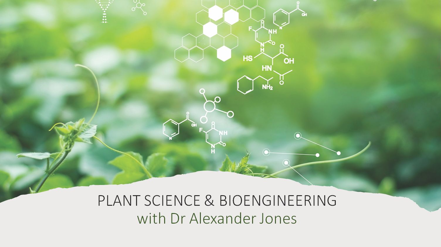 1504x844 The molecules behind plant growth