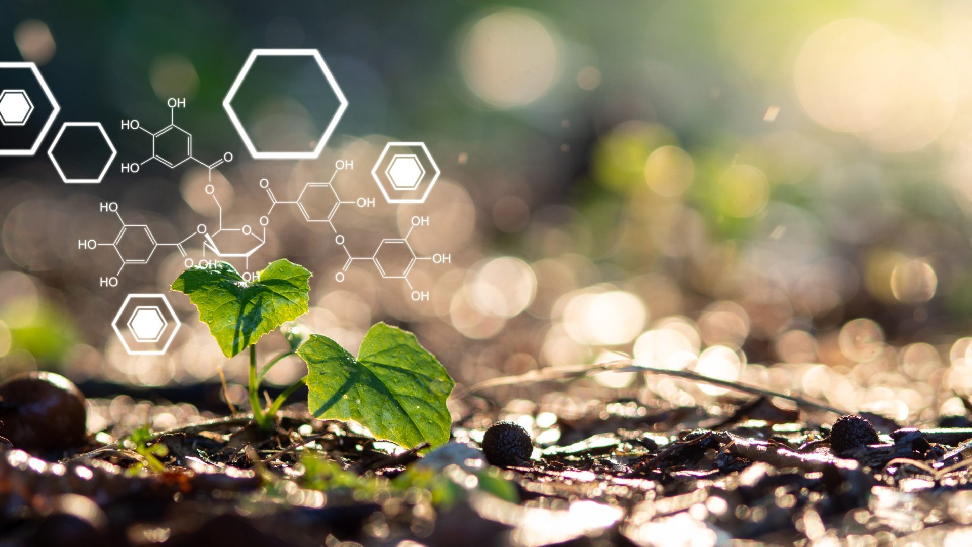 1920x1080 What's New In Plant Science? June August 2024 Publications