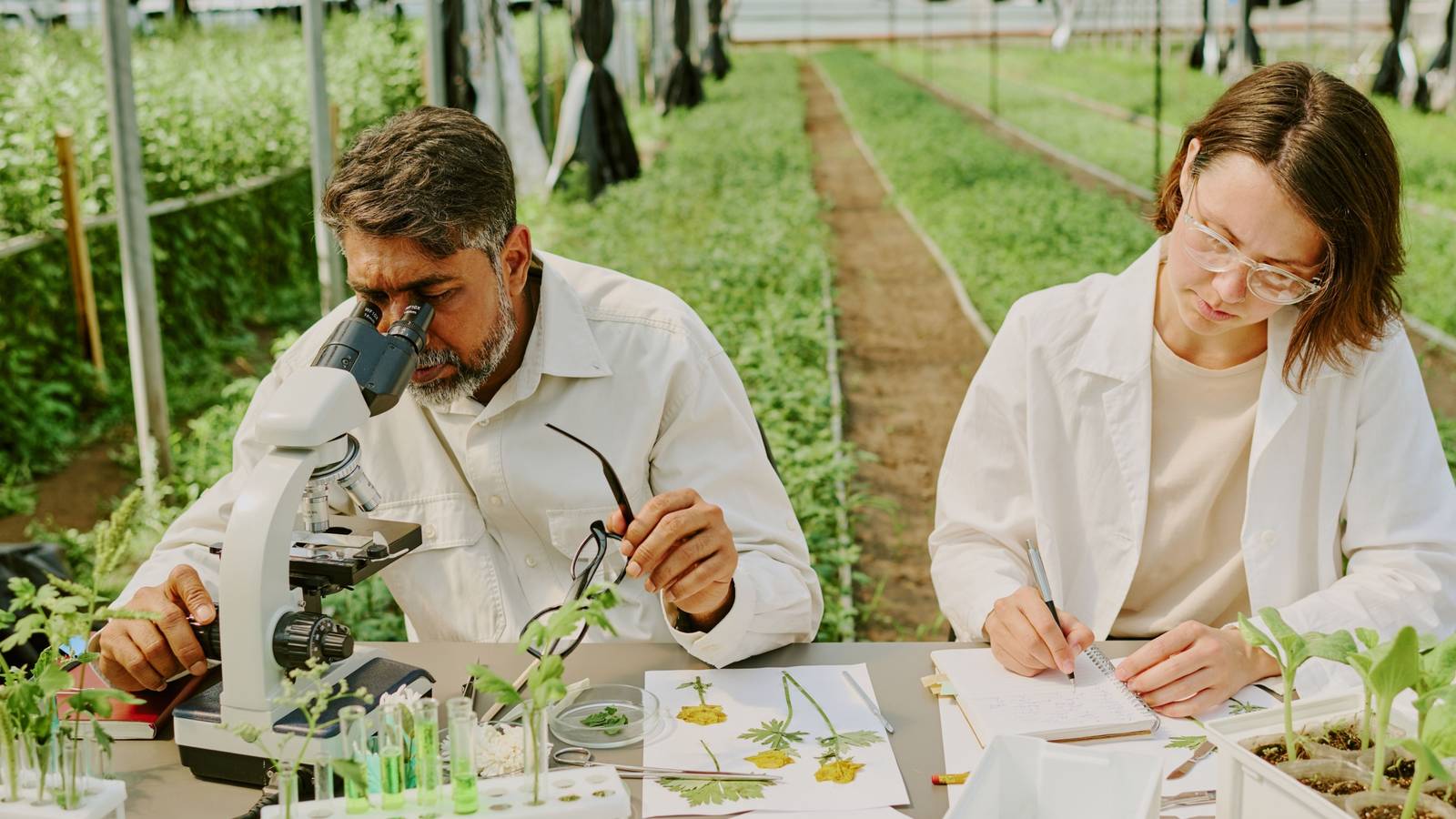 1600x900 How Sebastian Cocioba is Transforming Plant Science