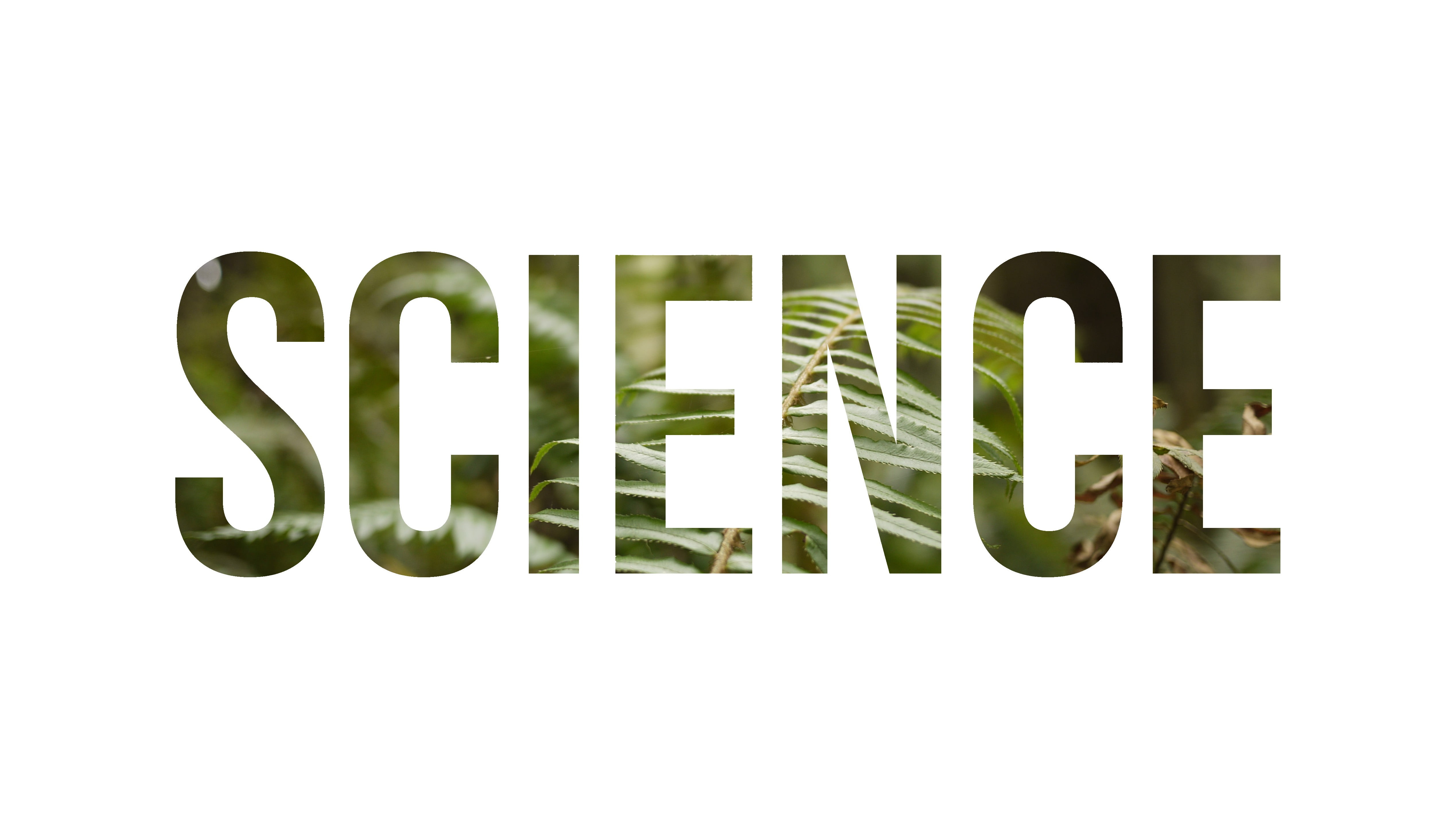 5075x2863 Science text, science, plants, nature, typography HD wallpaper