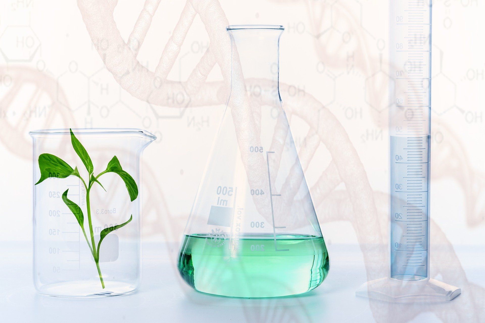 1920x1280 Video: Molecular plant breeding
