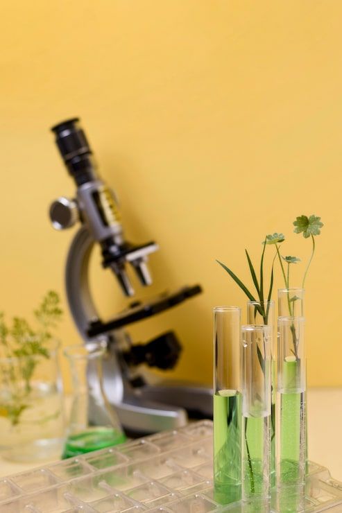 493x740 Plant Science Photo Free High Quality Picture