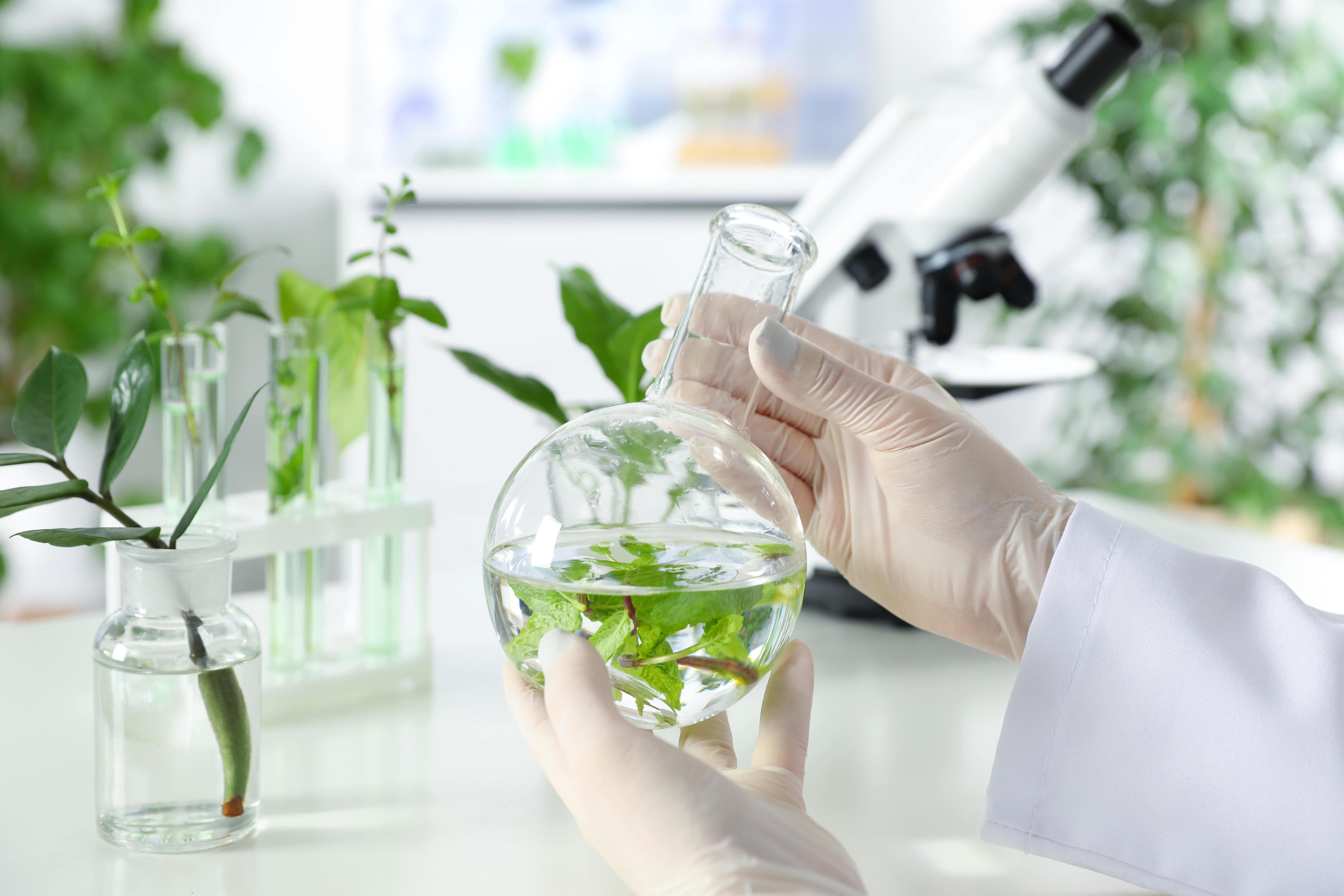 5608x3739 Most Common Problems in Tissue Culture Cell Technology