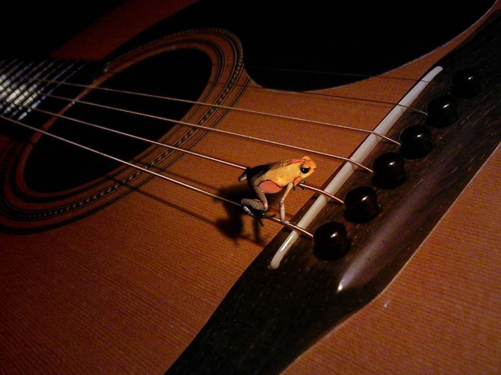 1024x768 Guitar Wallpaper Wall Guitar Wallpaper