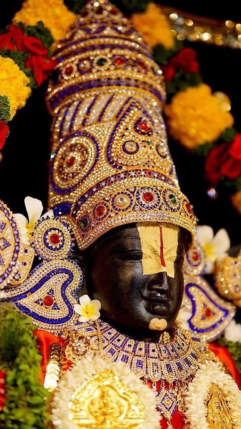 800x1422 Balaji, Lord Perumal Temple, lord venkateswara, hindu god, bhakti, HD phone wallpaper