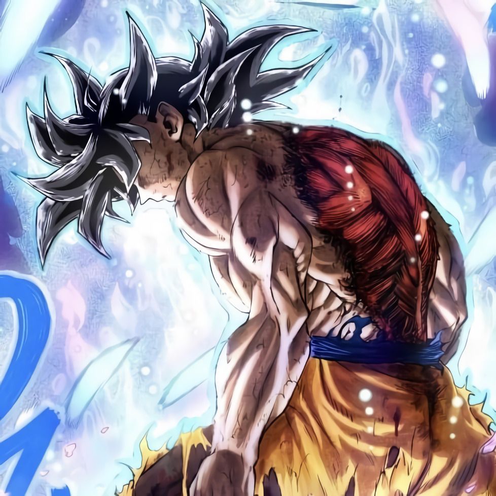 978x978 Dragon Ball Kakumei Goku