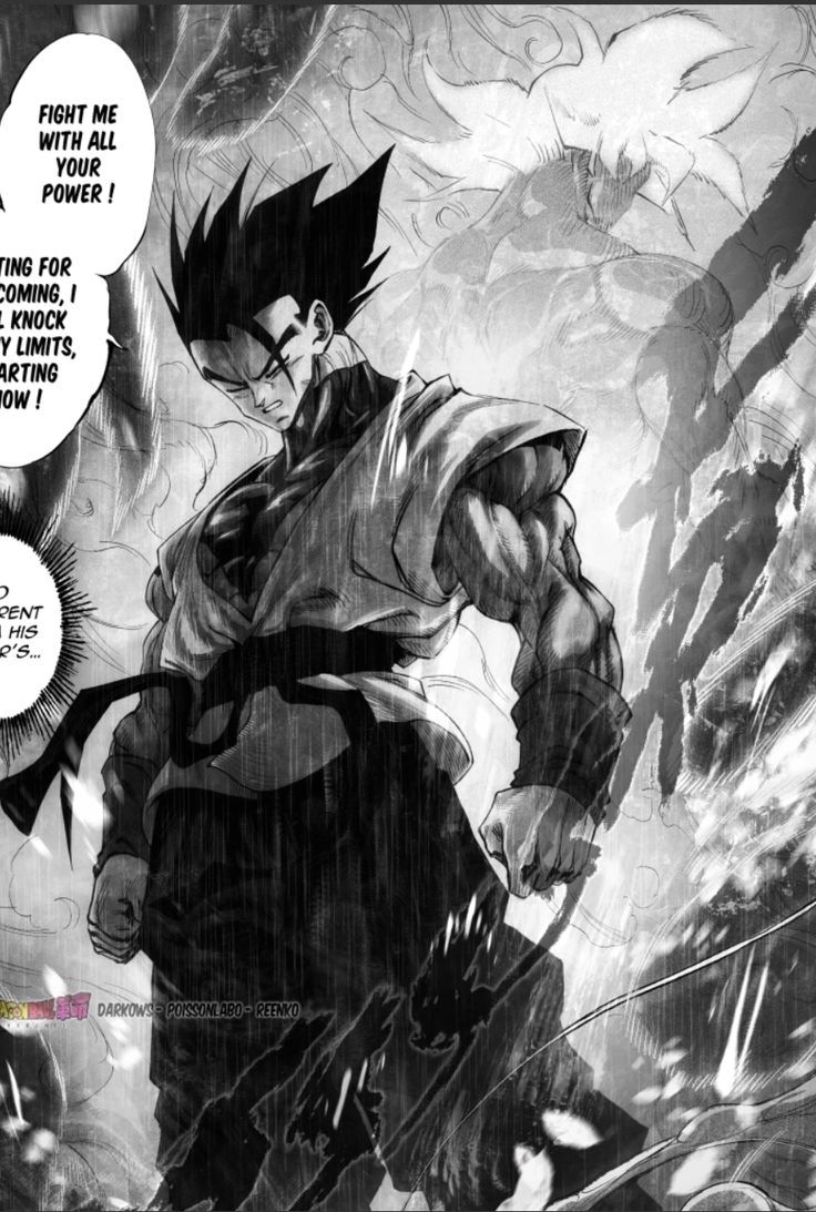 736x1093 Dragon Ball