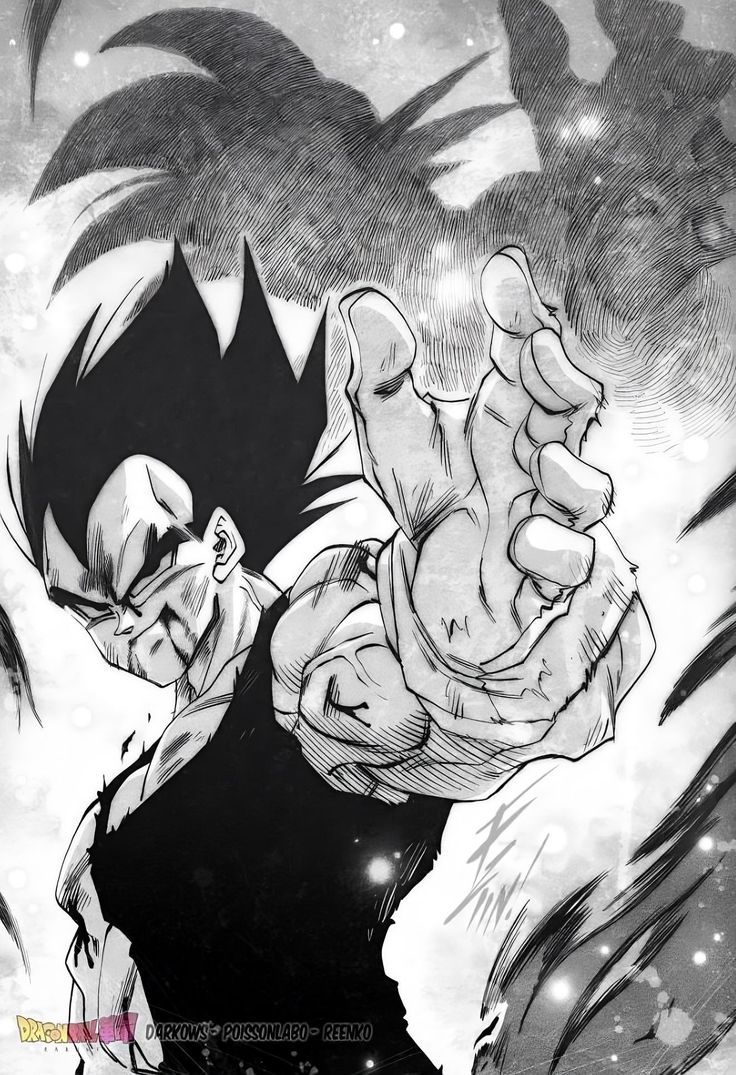 736x1075 Goku Kakumei Wallpaper