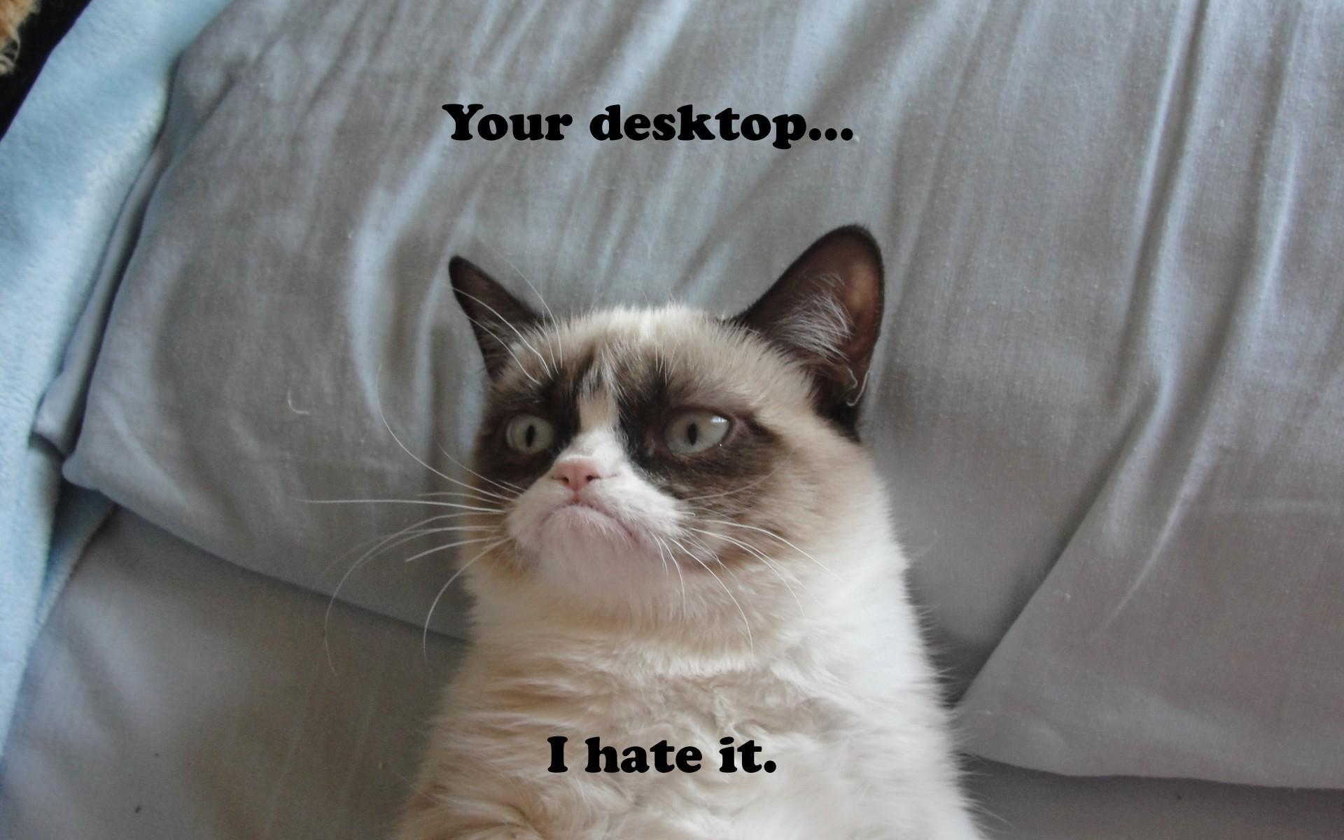 1920x1200 Grumpy Cat Meme Wallpaper