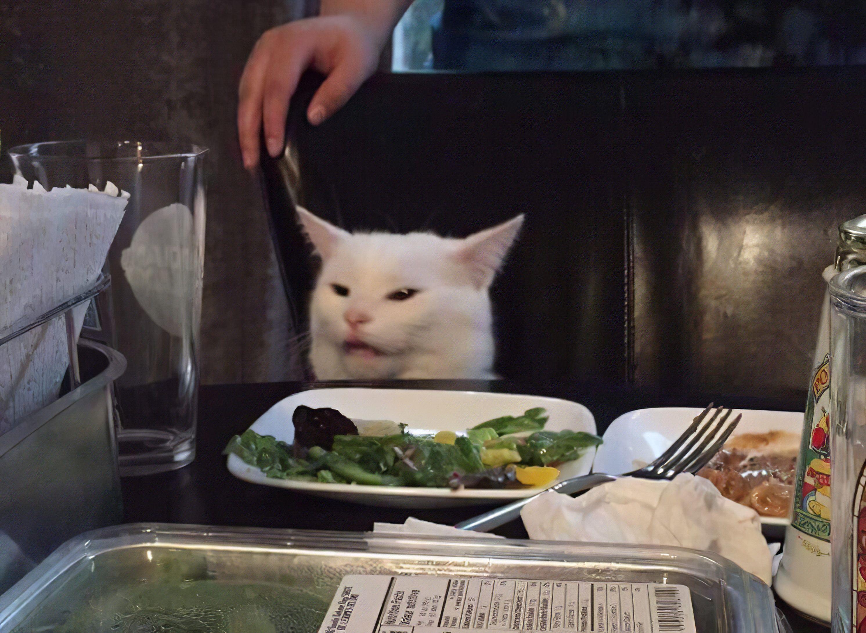 2984x2180 Woman Yelling at a Cat HD meme upscale
