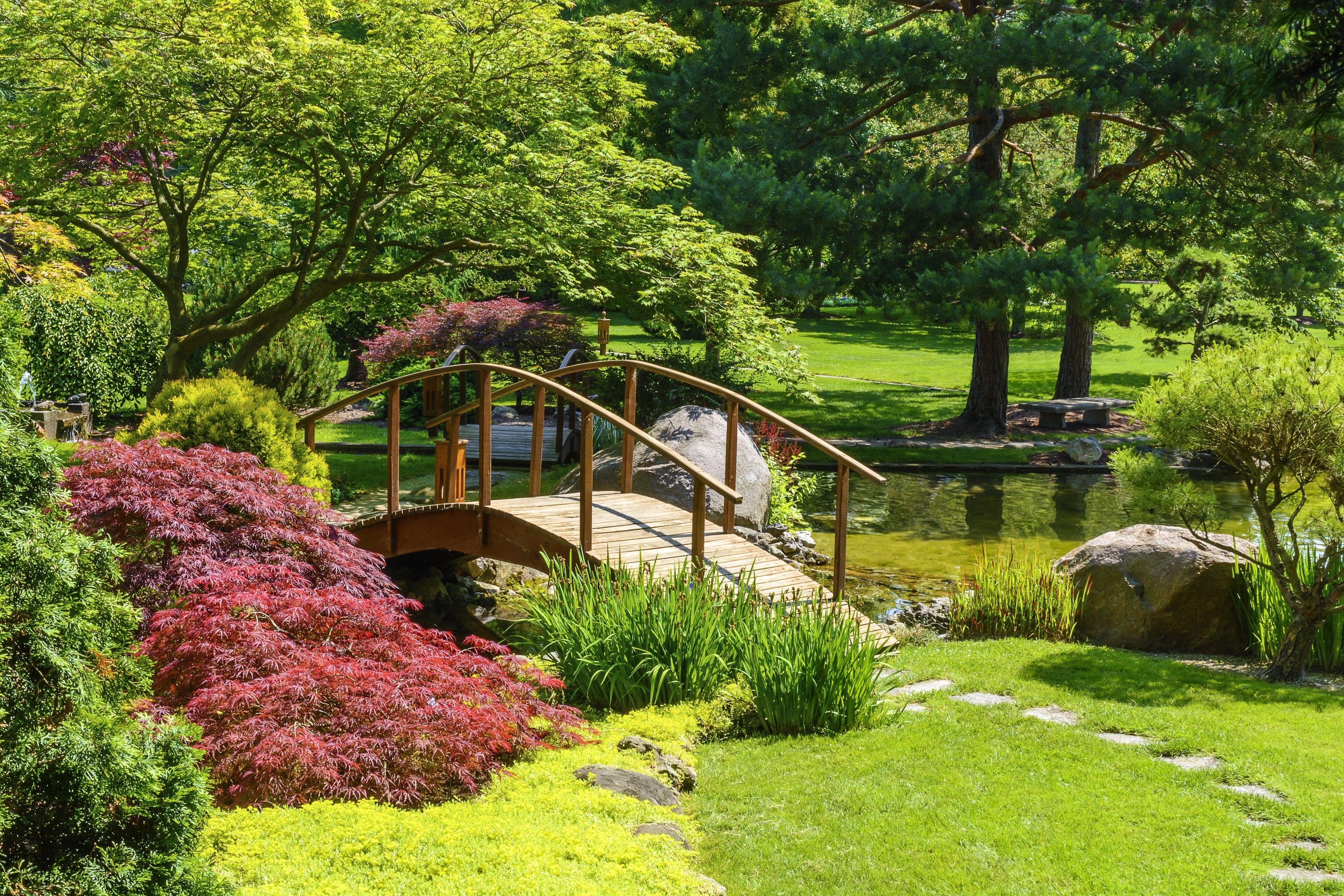 4200x2800 Nature, Nature Wallpaper, Shrubs, Grass, Background, Bridge, park