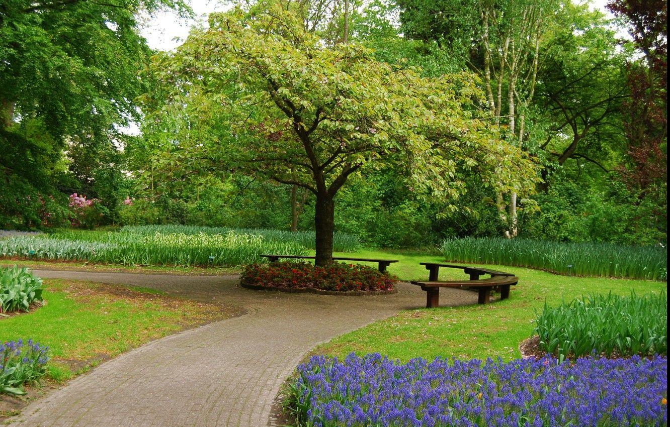 1332x850 Wallpaper greens, flowers, Park, tree, plants, spring, garden