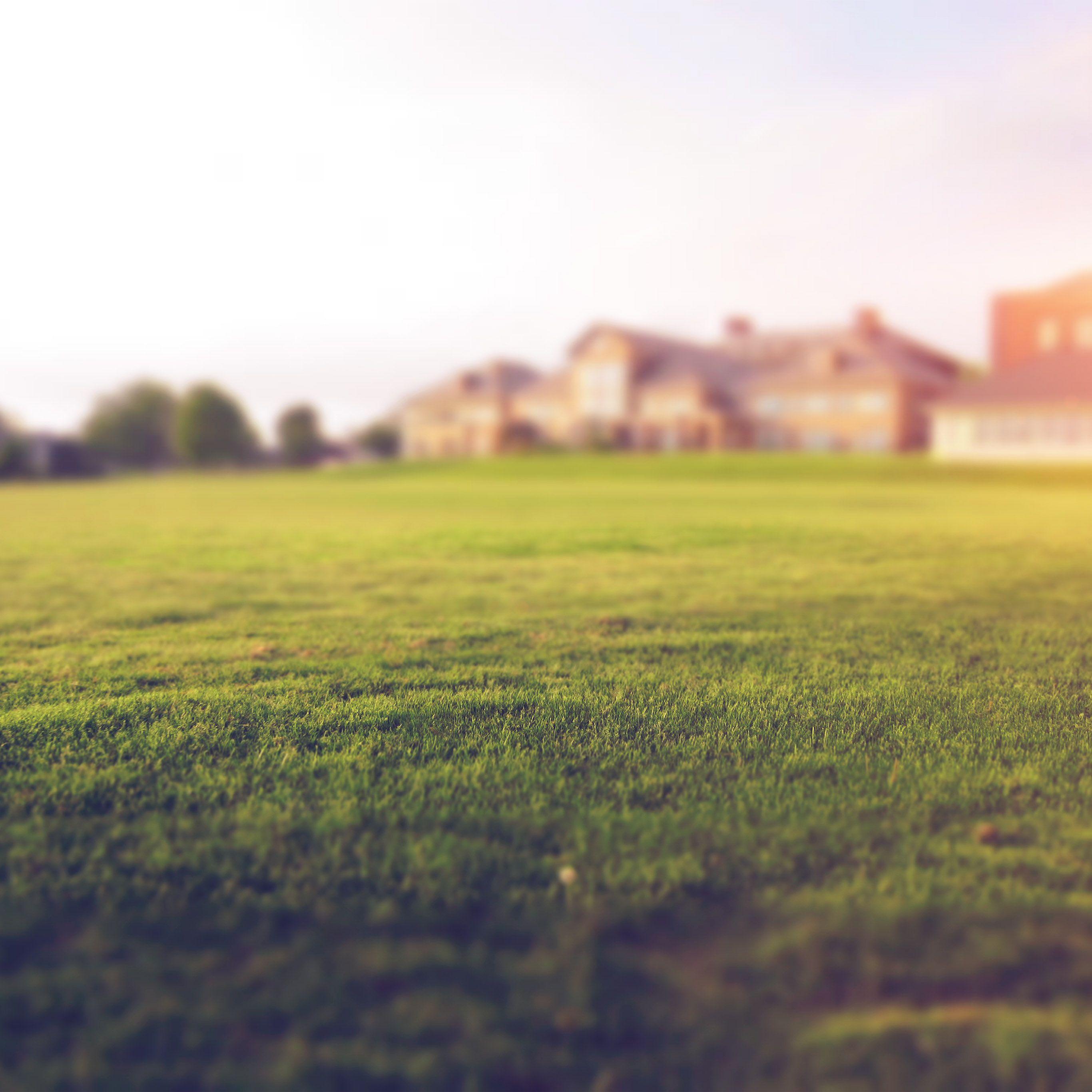 2732x2732 Garden Nature Green Lawn Flare Wallpaper