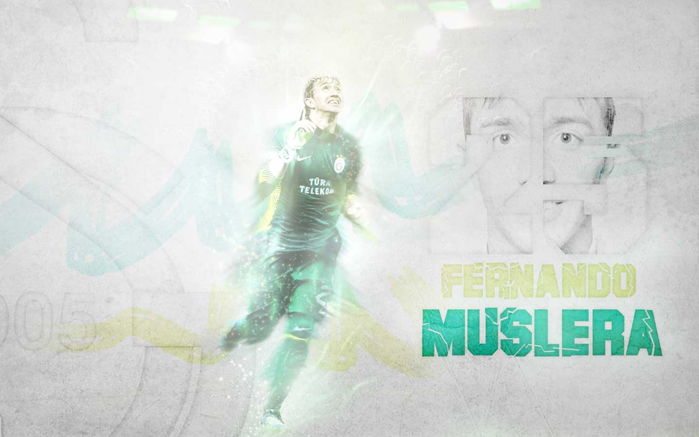 1440x900 Free Wallpaper Muslera wallpaper