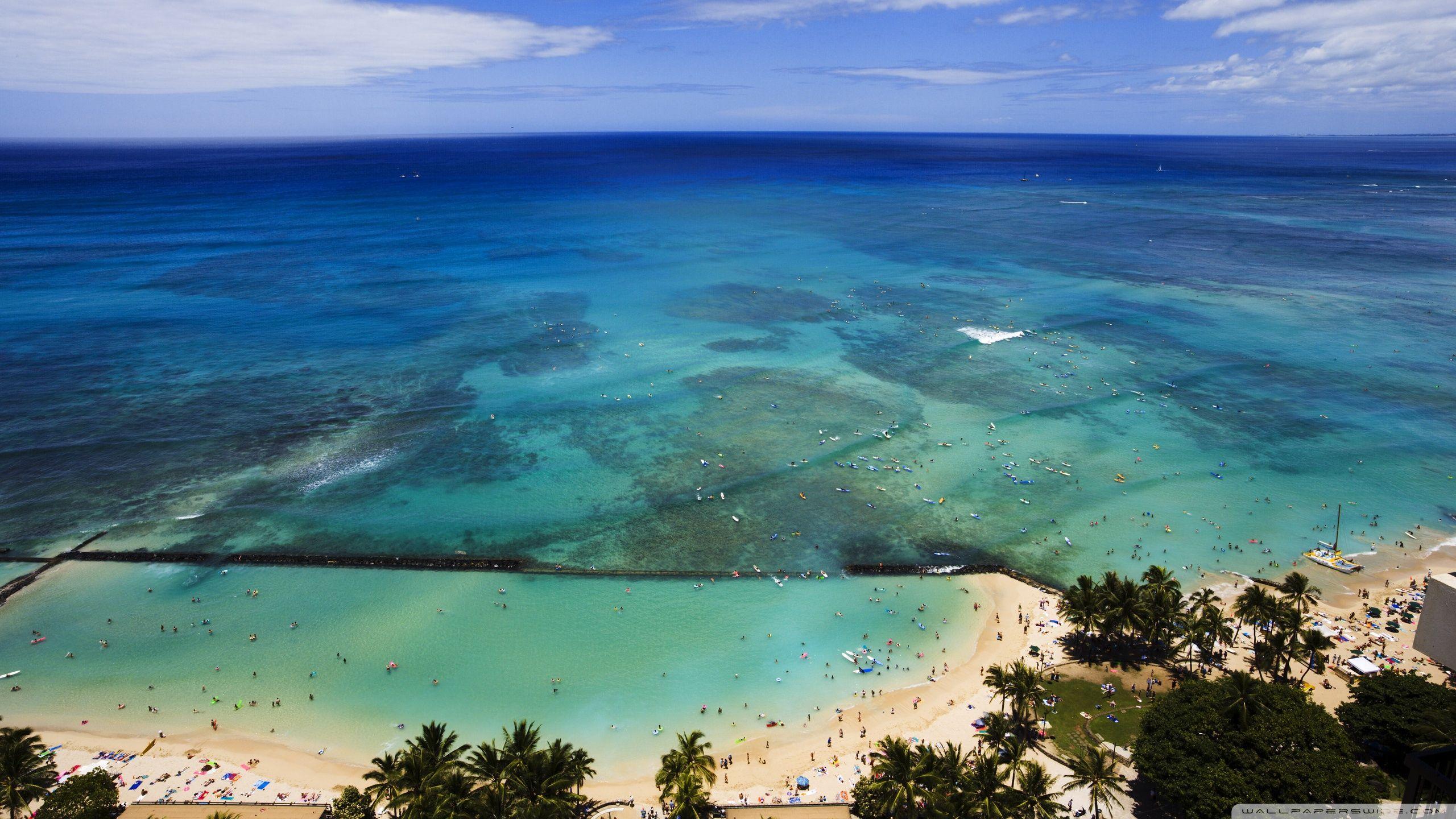 2560x1440 Aerial View Of Hawaii Beach ❤ 4K HD Desktop Wallpaper for 4K Ultra