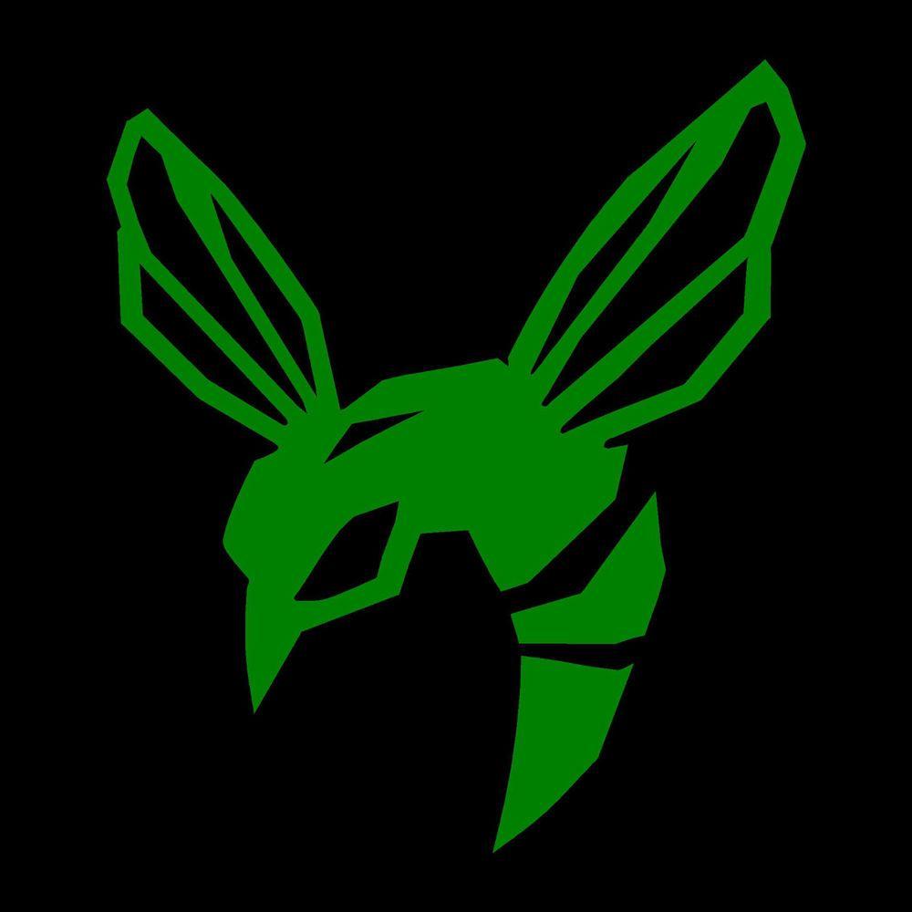 1000x1000 Green Hornet stickers decals 6x5.5 Green vinyl #UnbrandedGeneric