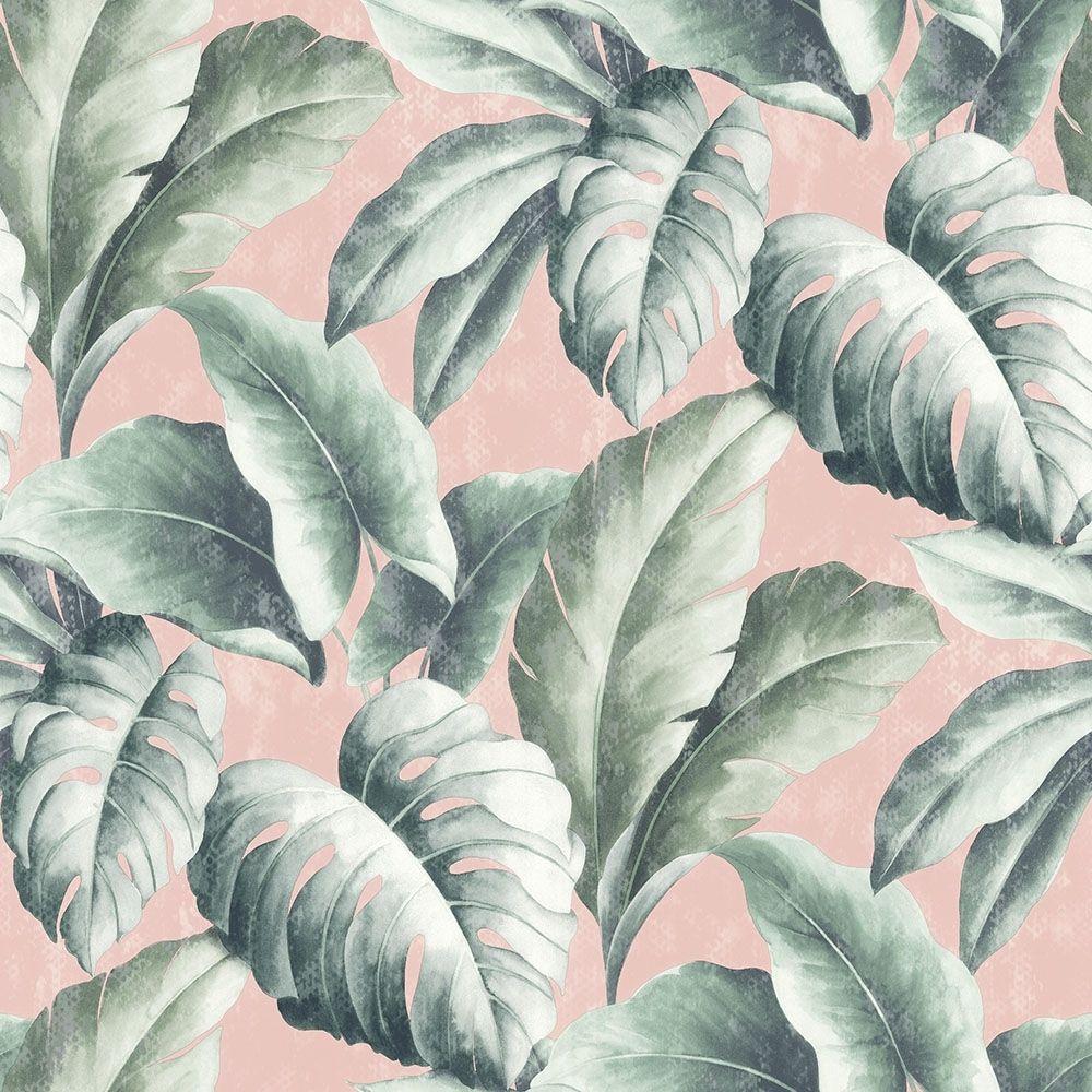 Pink Tropical Leaves Wallpapers - Top Free Pink Tropical Leaves