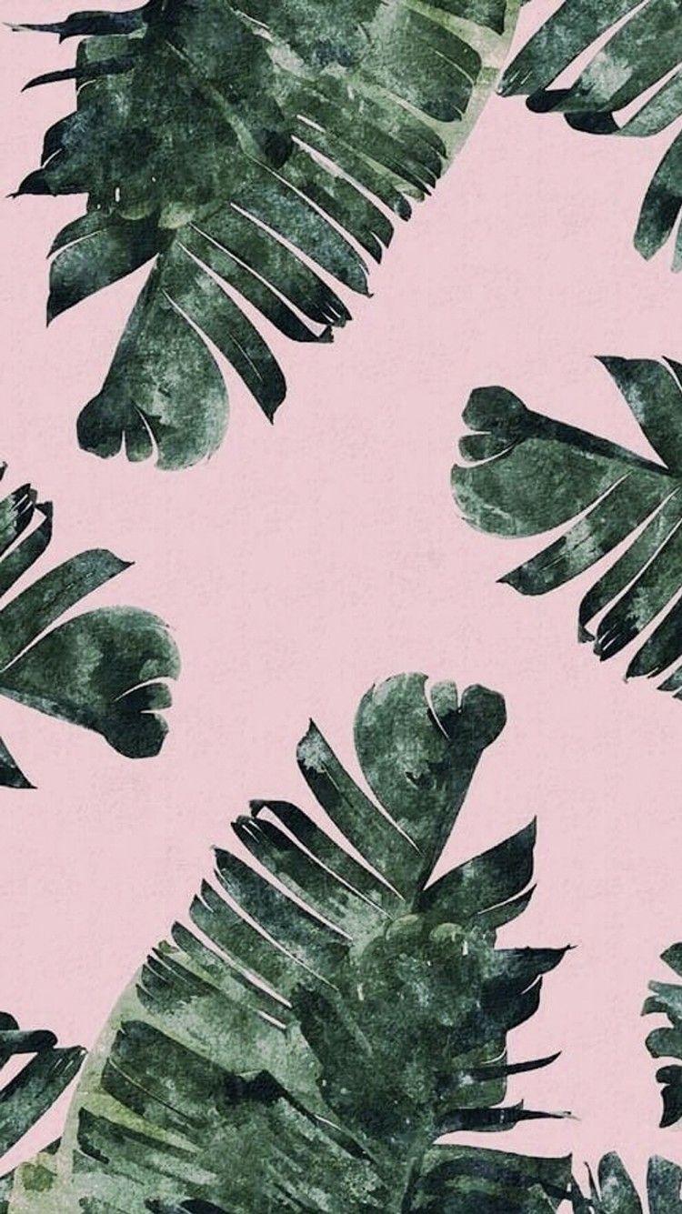 Pink Palm Leaf Wallpapers - Top Free Pink Palm Leaf Backgrounds