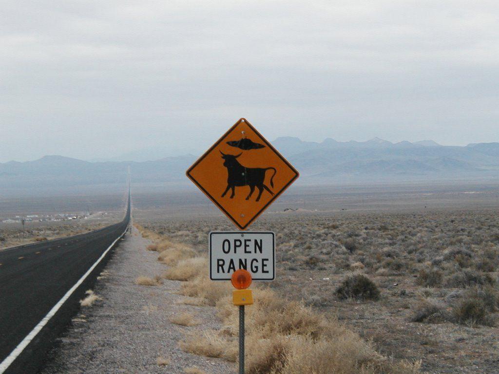 1024x768 Cattle Crossing near Rachel, NV & E.T. Highway
