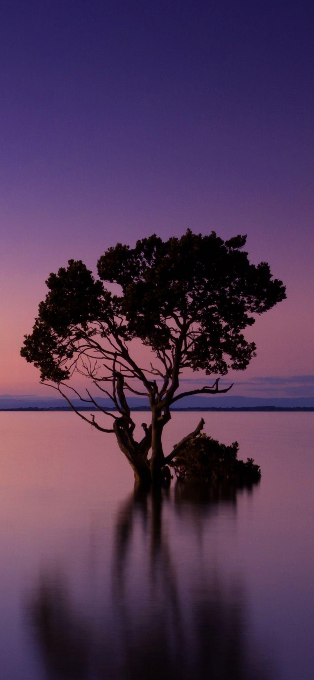 1080x2340 Free High Quality Xiaomi Redmi Note 8 Nature Wallpaper