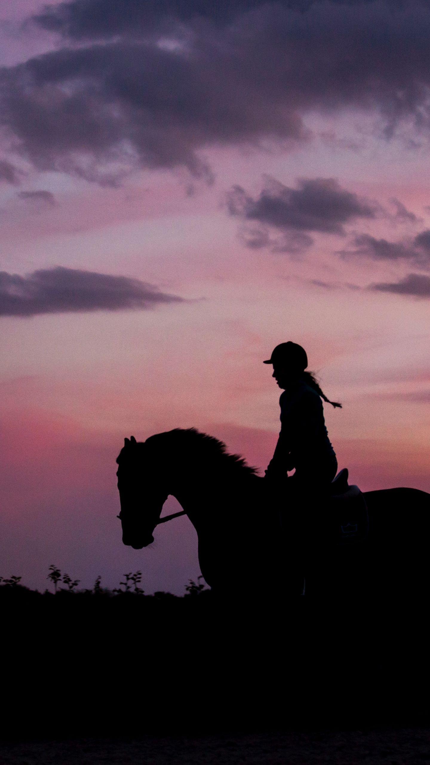 1440x2560 Download wallpaper 1440x2560 silhouette, dark, jockey, horse