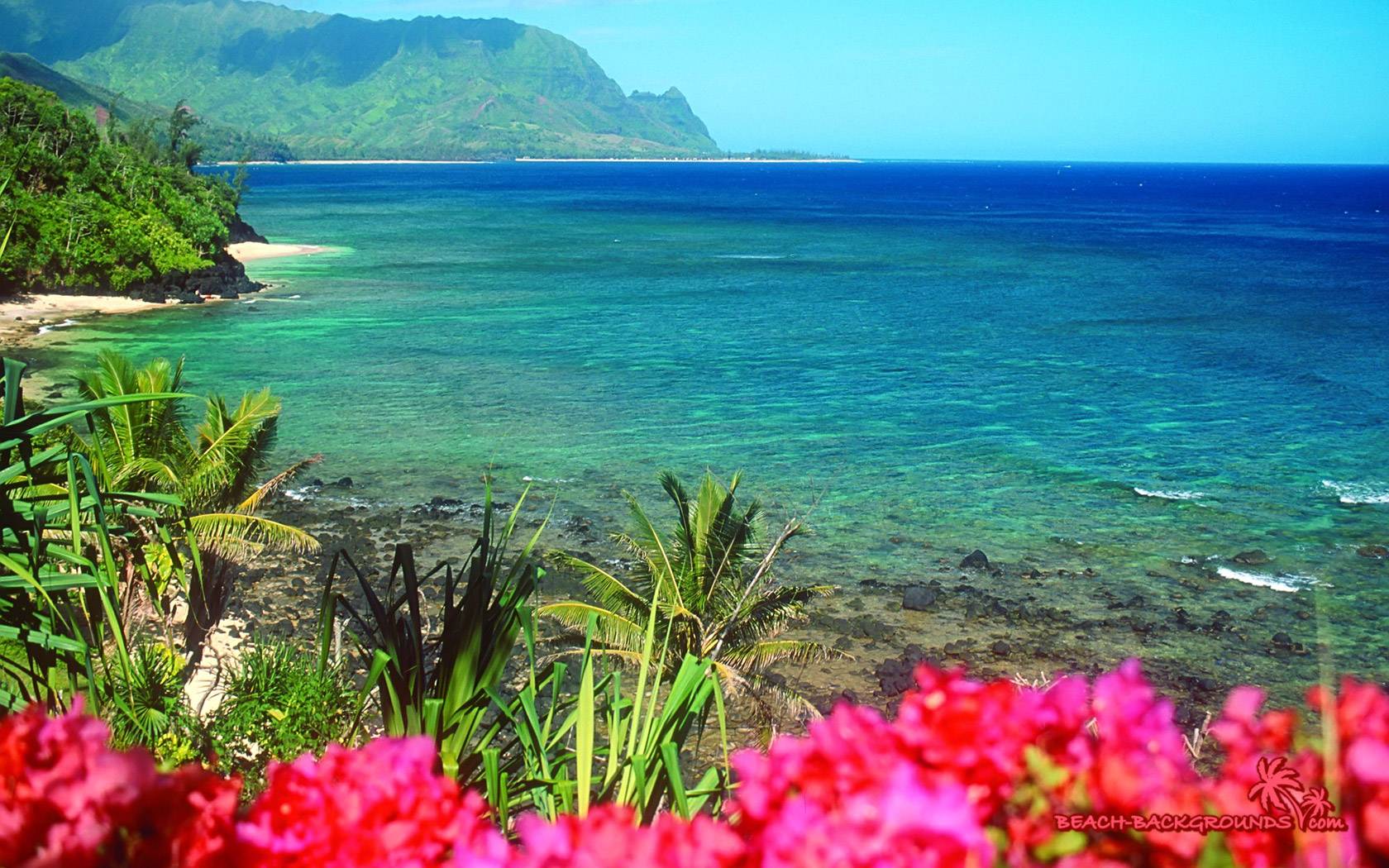 1680x1050 Beautiful Beach Nature HD Desktop Wallpaper, Instagram photo