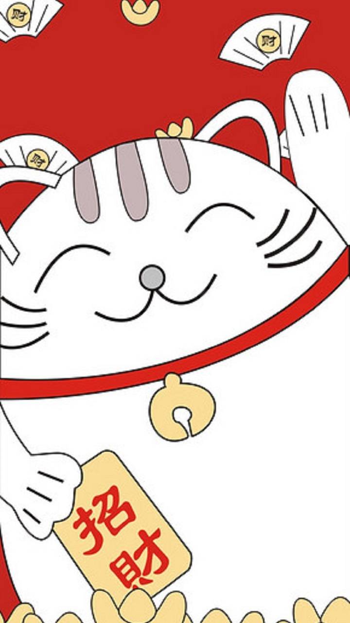 Lucky Cat Wallpapers Top Free Lucky Cat Backgrounds WallpaperAccess
