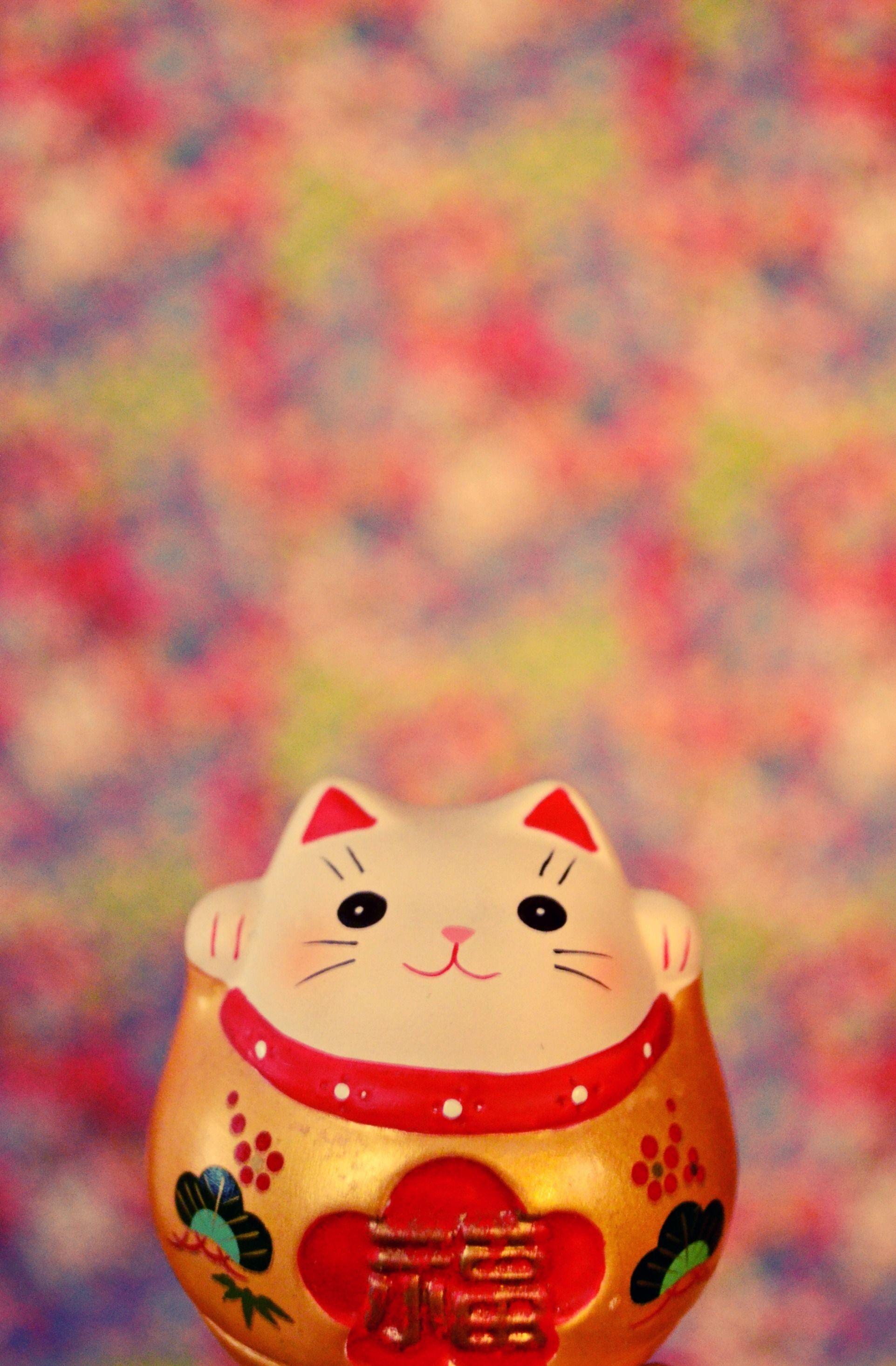 Fortune Cat Wallpapers - Top Free Fortune Cat Backgrounds - WallpaperAccess