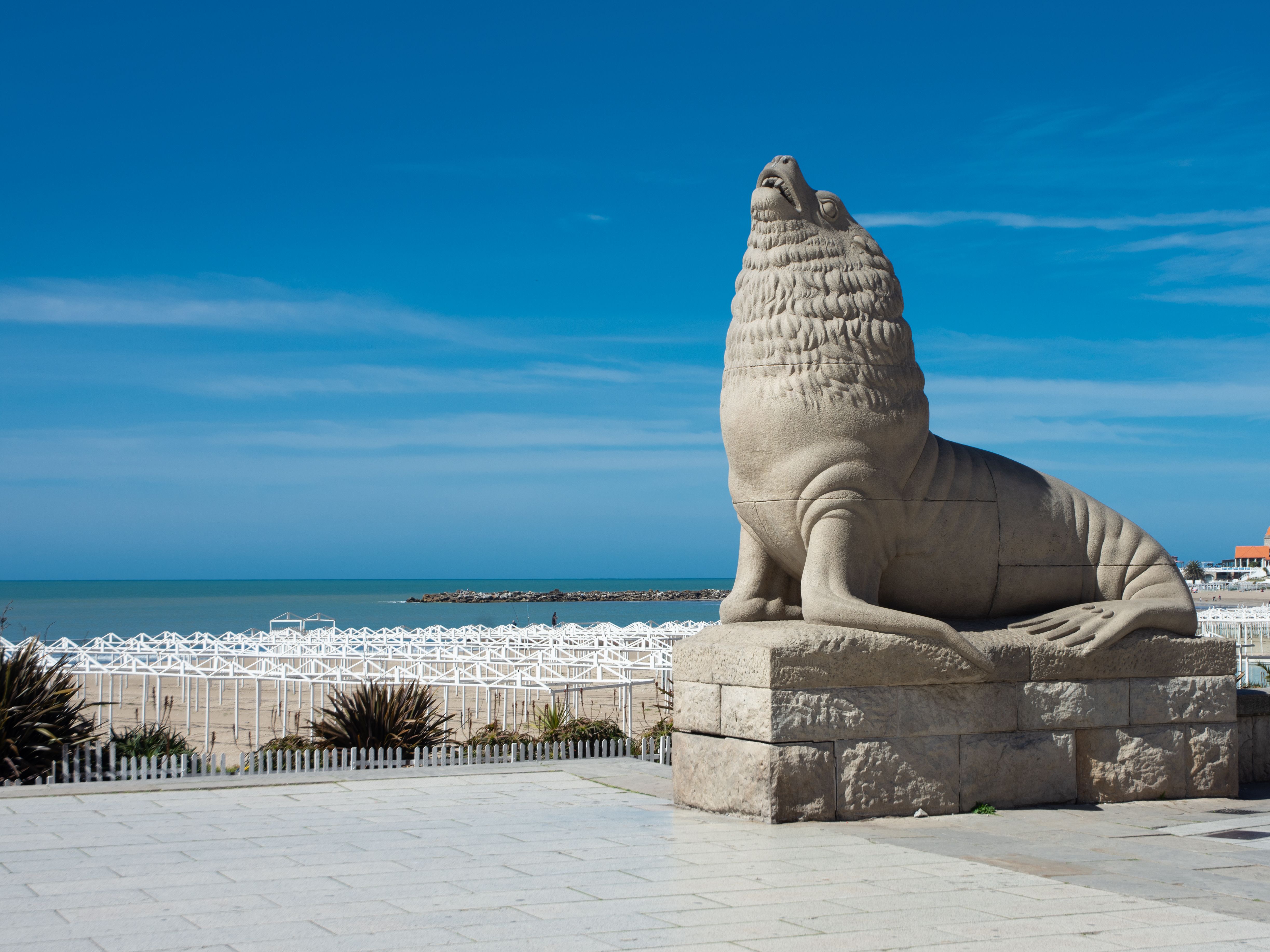 4893x3670 Close Up Shot Of Monumento Lobos Marino In Mar Del Plata · Free
