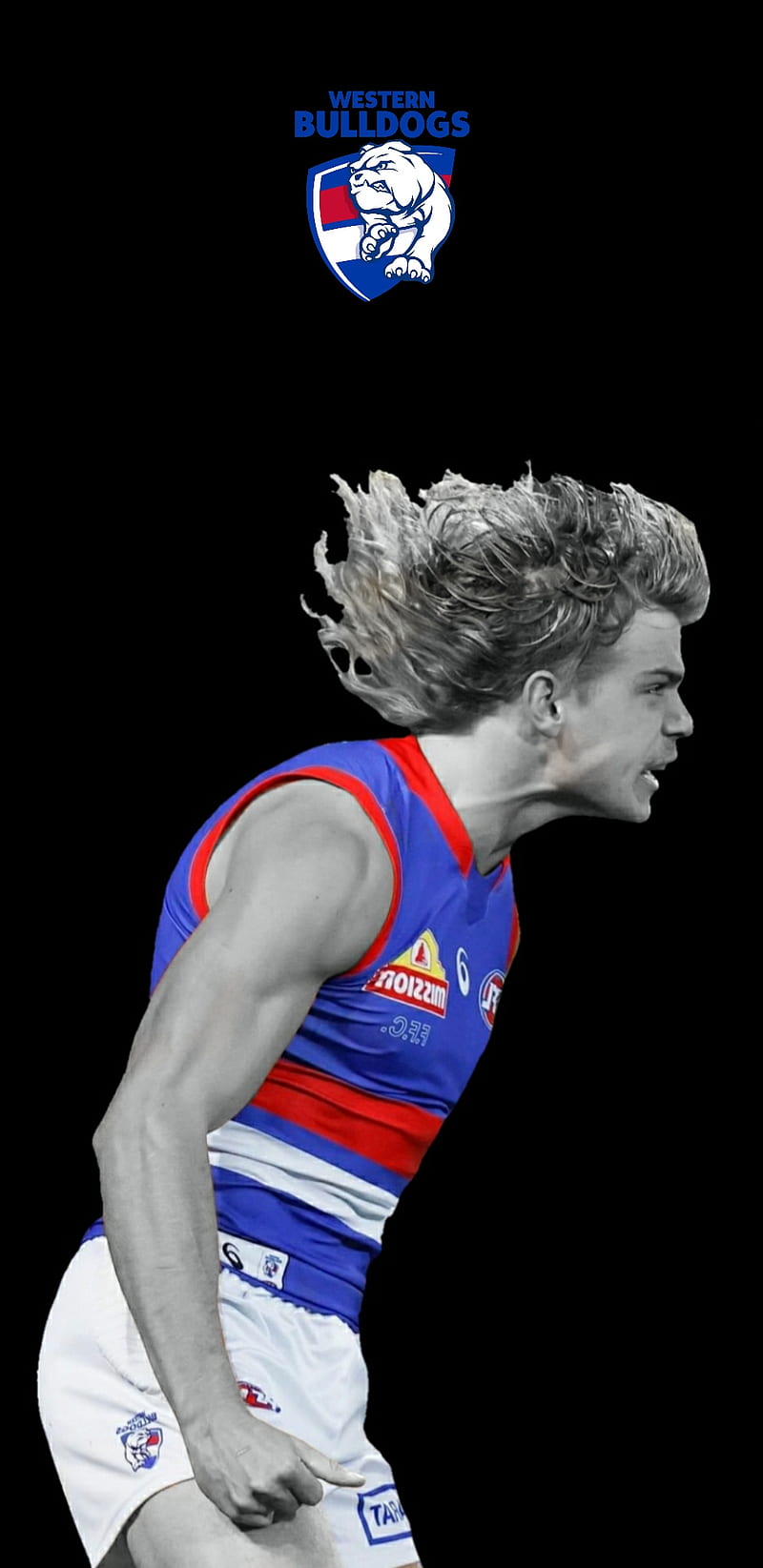 800x1645 HD western bulldogs wallpaper
