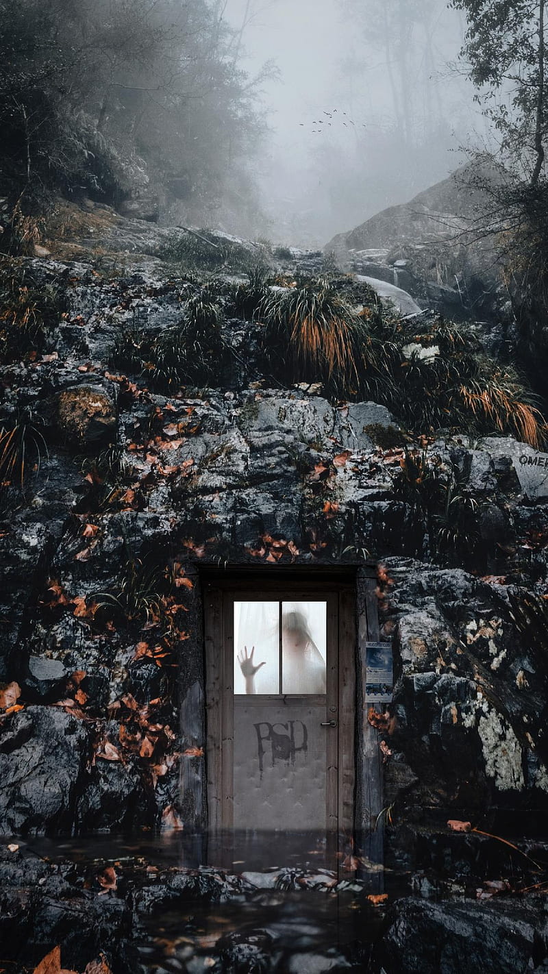 800x1422 Dark, cabin, house, winter, fantasy, nights, HD phone wallpaper