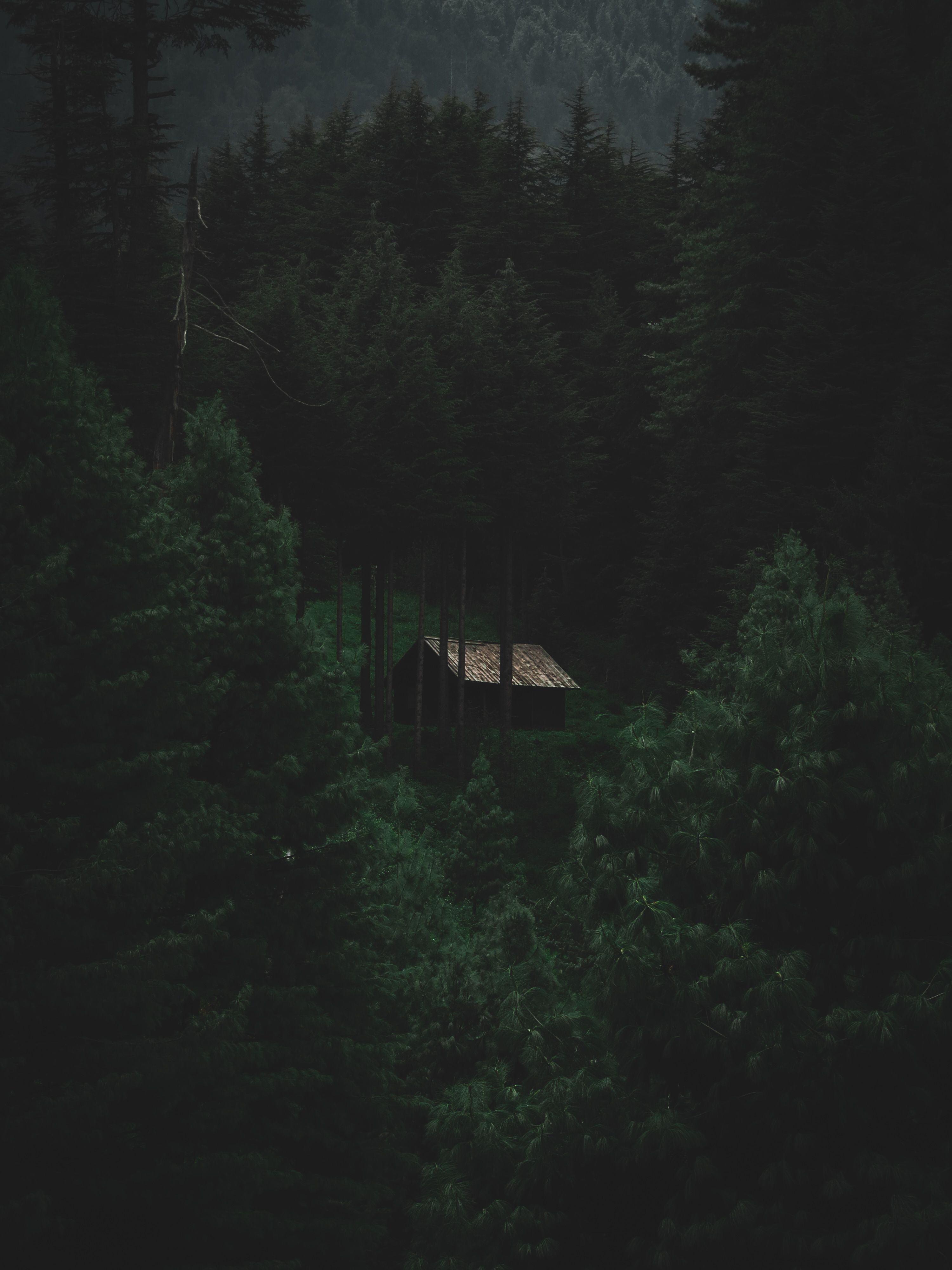 3000x4000 Cabin In Dark Woods Photo, Download The BEST Free Cabin In Dark Woods & HD Image