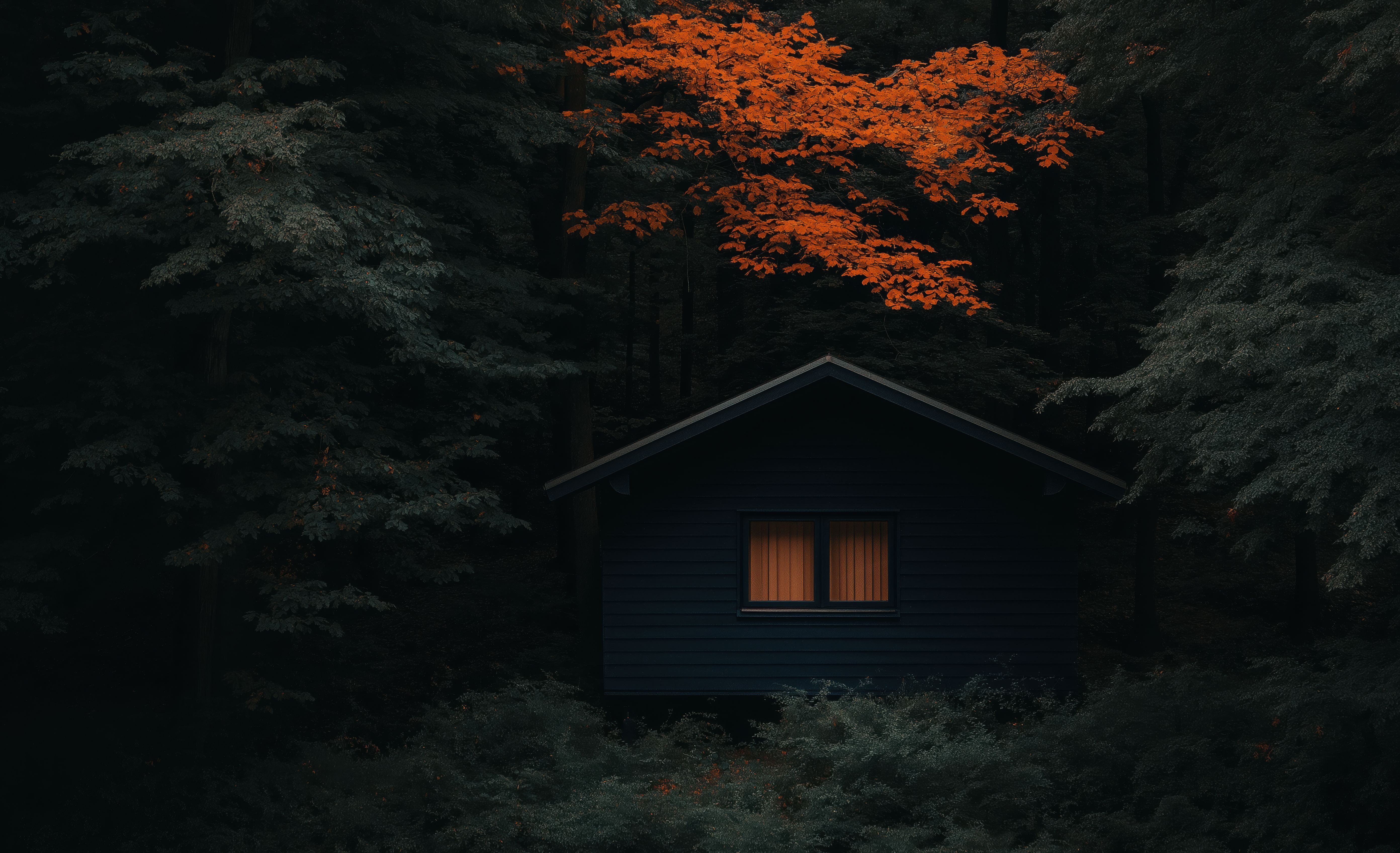 5568x3392 Log Cabin Image. Free Image, Background and Wallpaper
