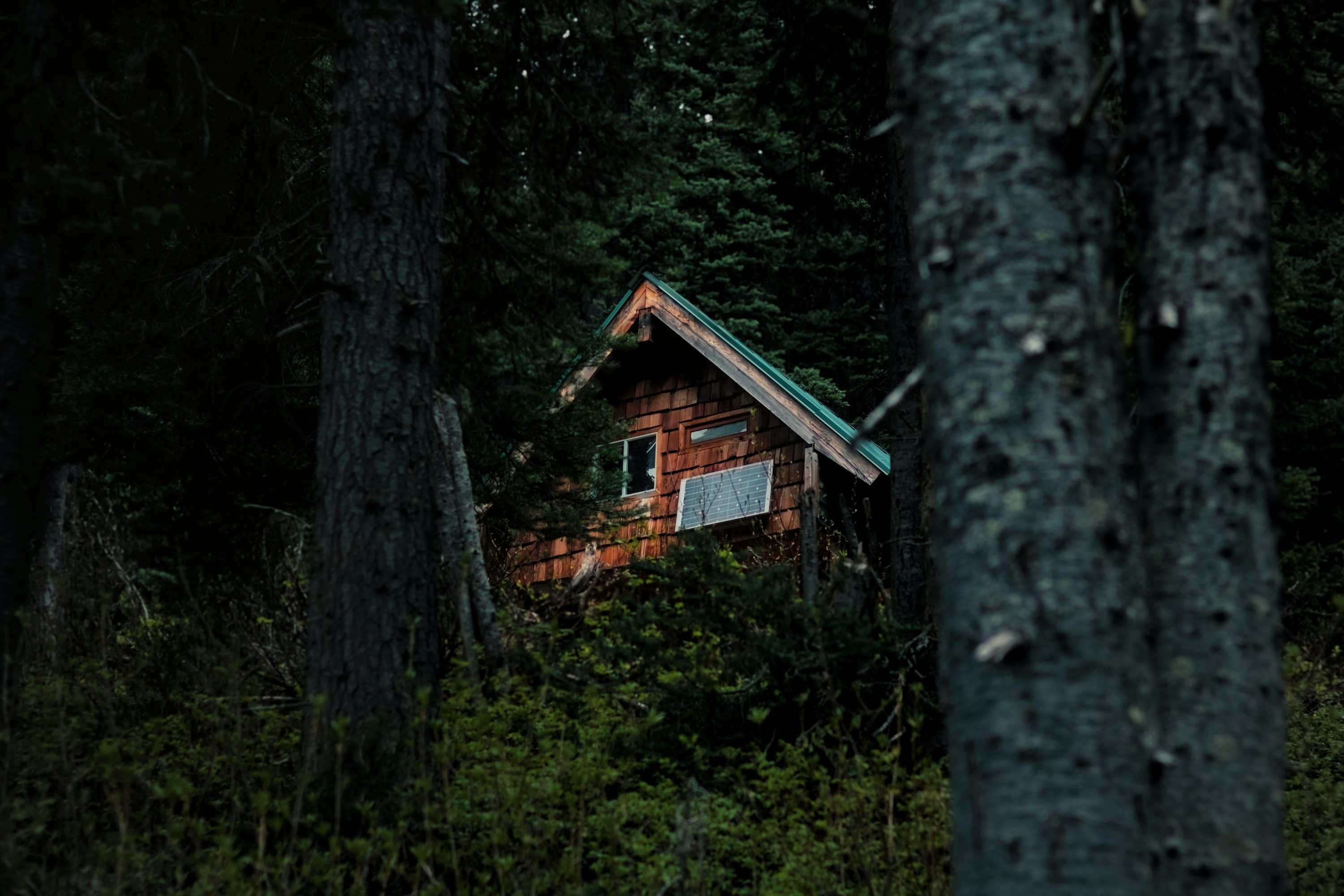 3000x2000 An old wooden cabin peeking through dark forest trees. photo