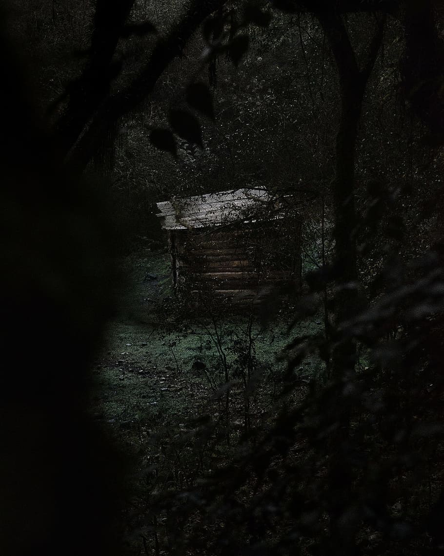 910x1138 brown, wooden, house, surrounded, trees, dark, cabin, forest