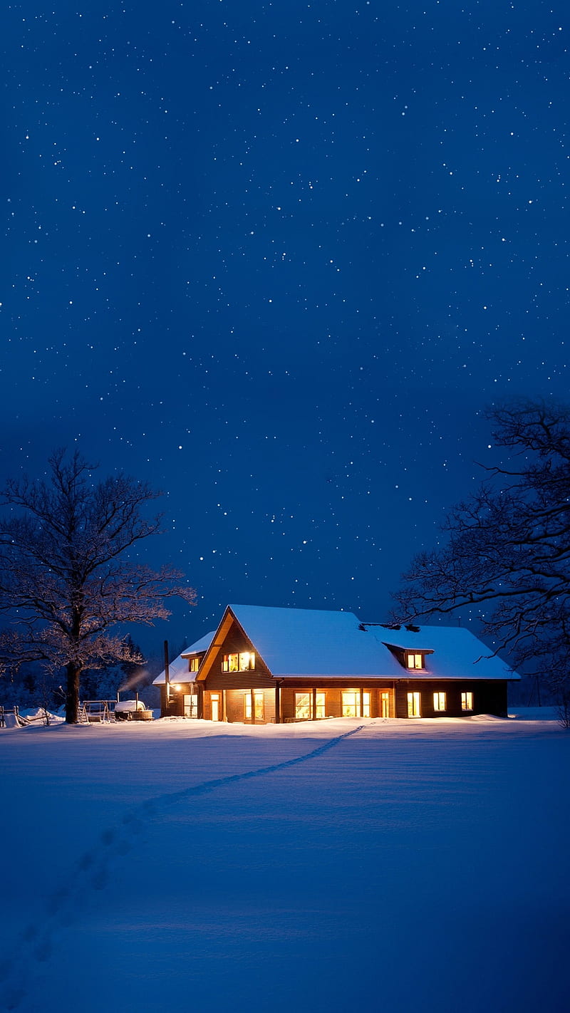800x1422 Snow house, beach, cabin, camping, dark, holiday, landscape, woods, HD phone wallpaper