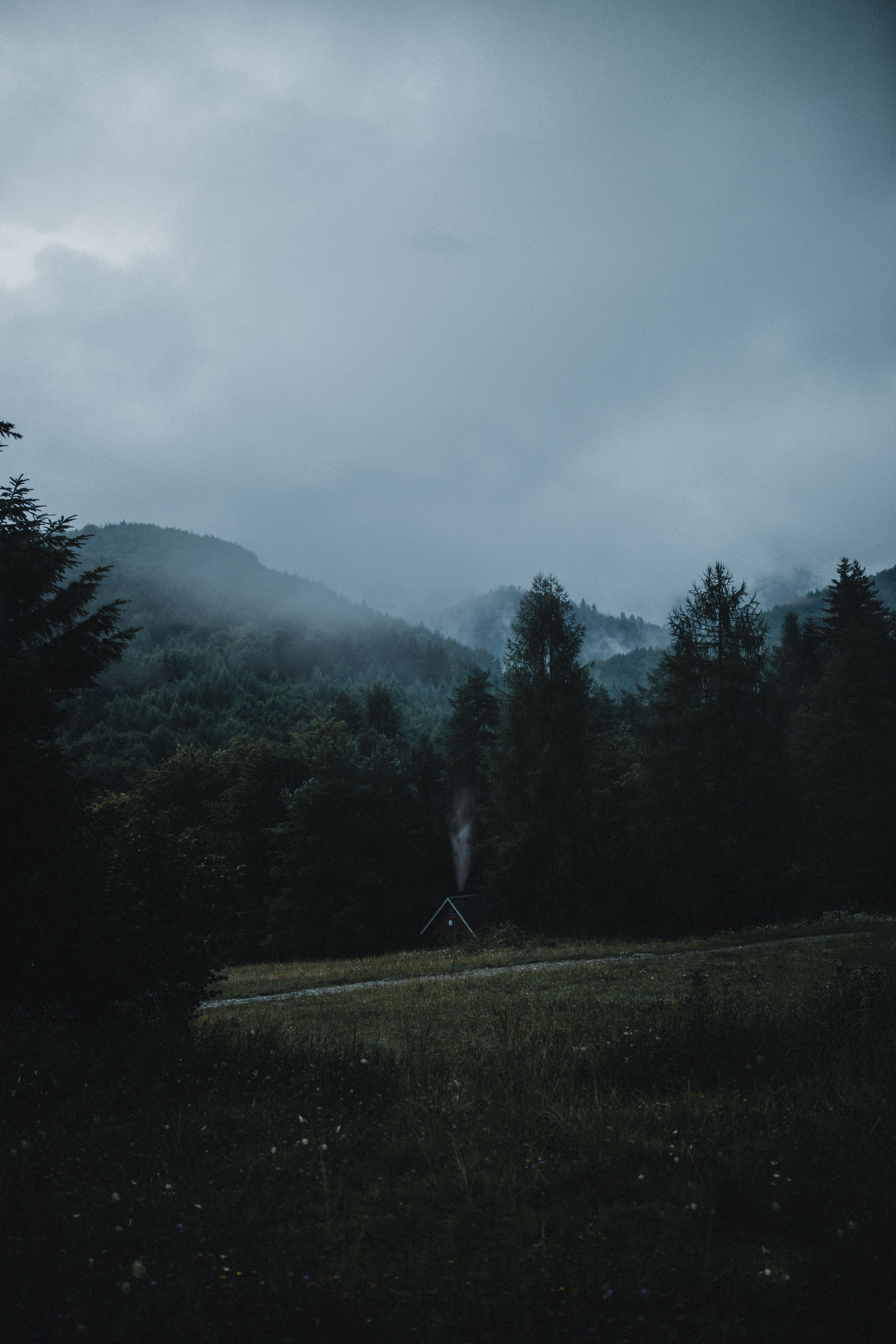 3648x5472 Cabin In Dark Woods Photo, Download The BEST Free Cabin In Dark Woods & HD Image