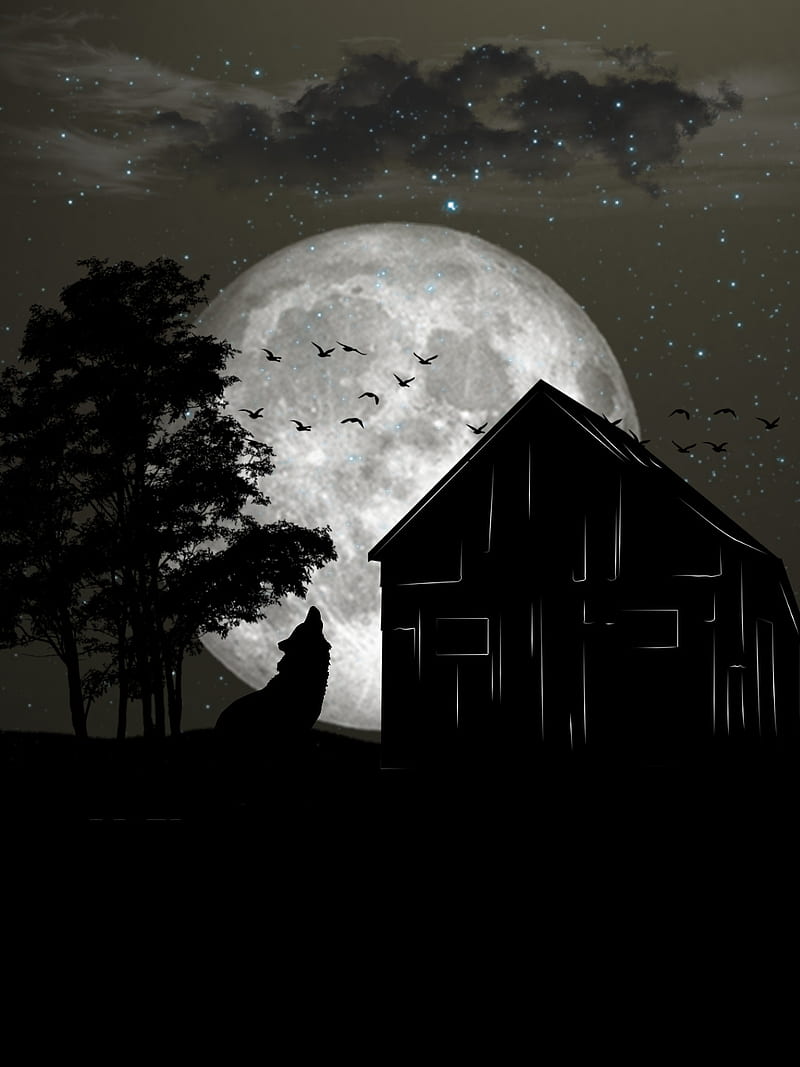 800x1067 Dark night, cabin, country, halloween, house, HD phone wallpaper