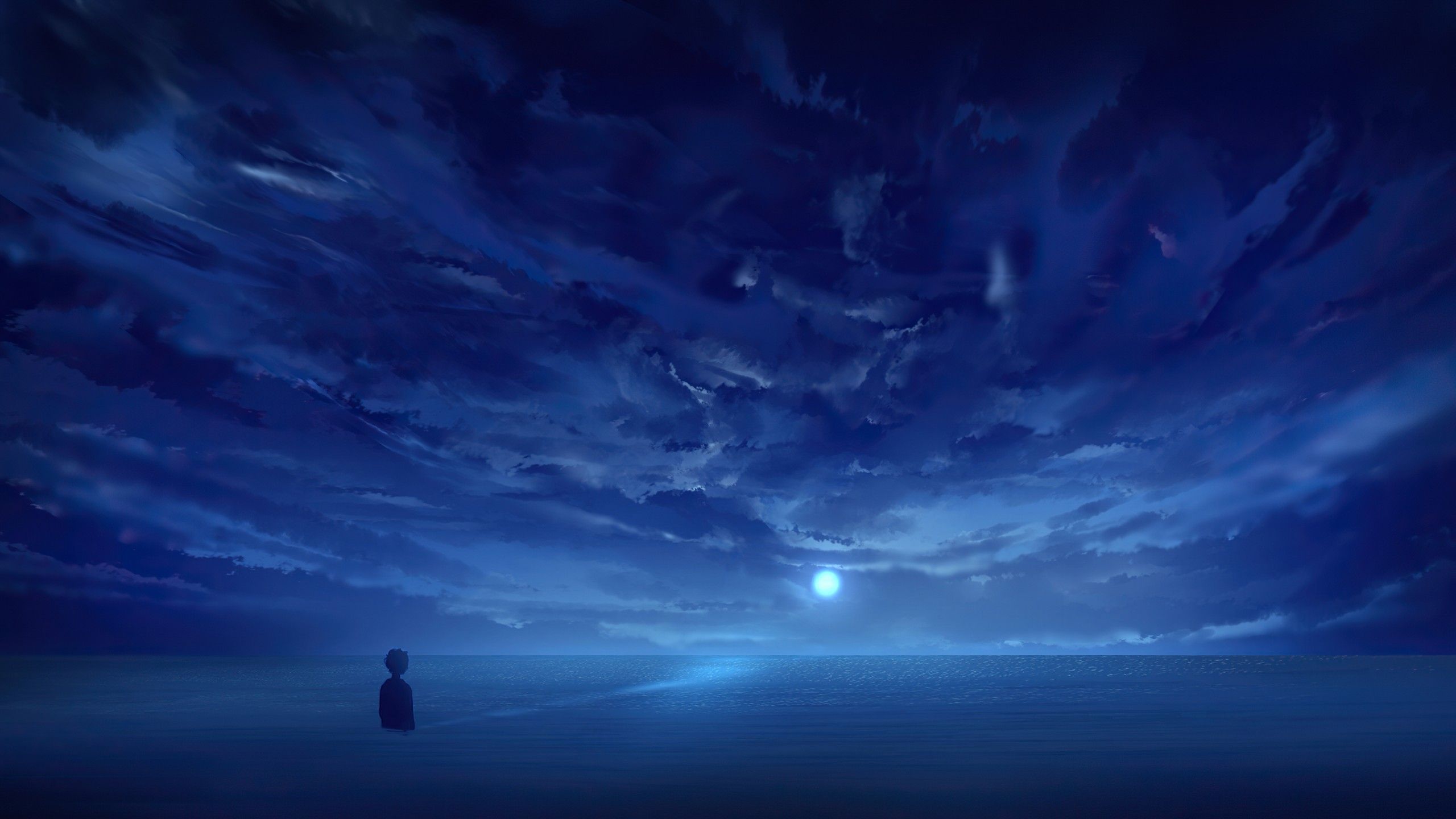 2560x1440 Blue Horizon Night Anime Boy 4K HD Anime Boy Wallpaper