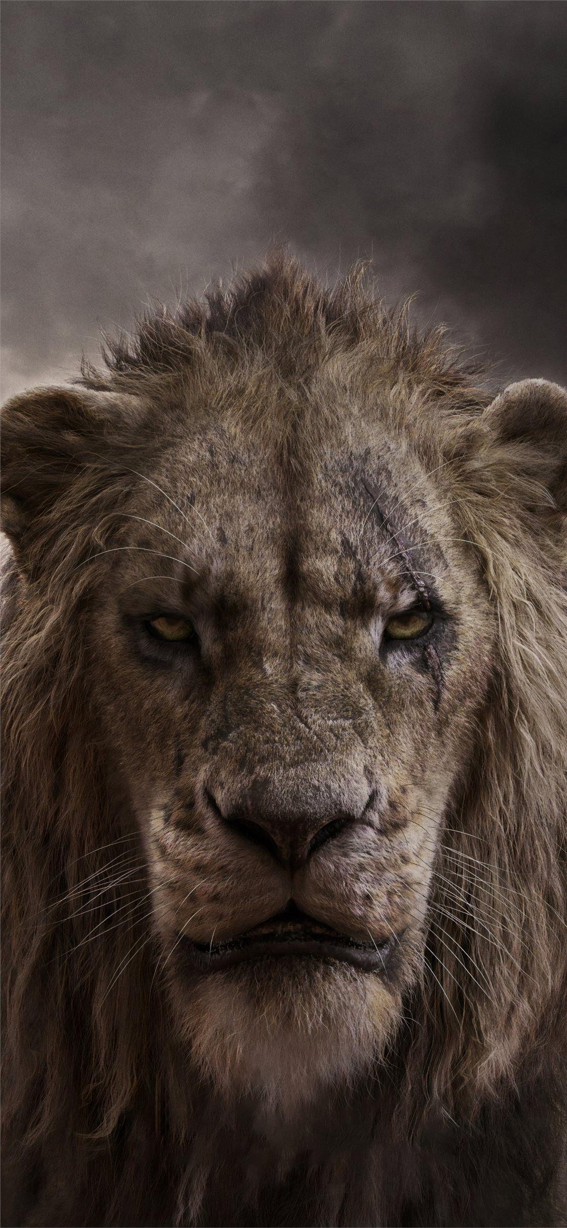 1125x2436 Best lion iPhone X Wallpaper HD