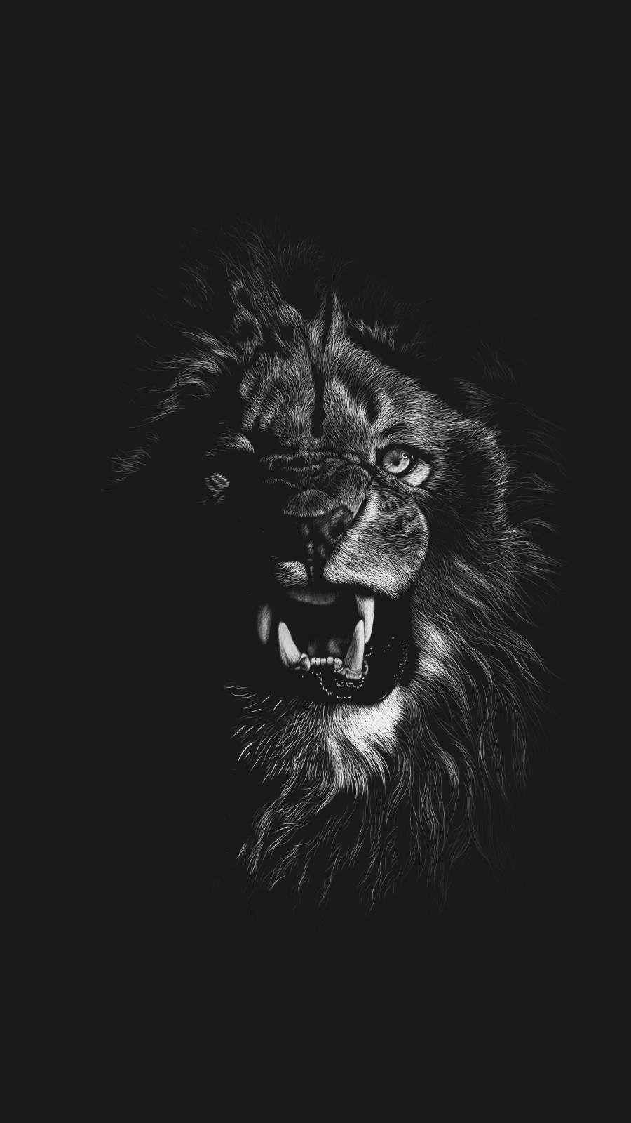 Cool Lion iPhone Wallpapers - Top Free Cool Lion iPhone Backgrounds ...