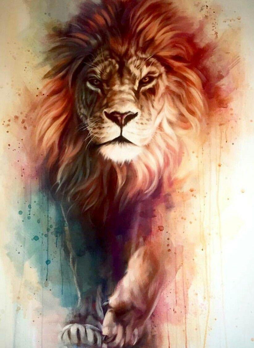 822x1123 Lion iPhone Wallpaper HD Live Wallpaper HD