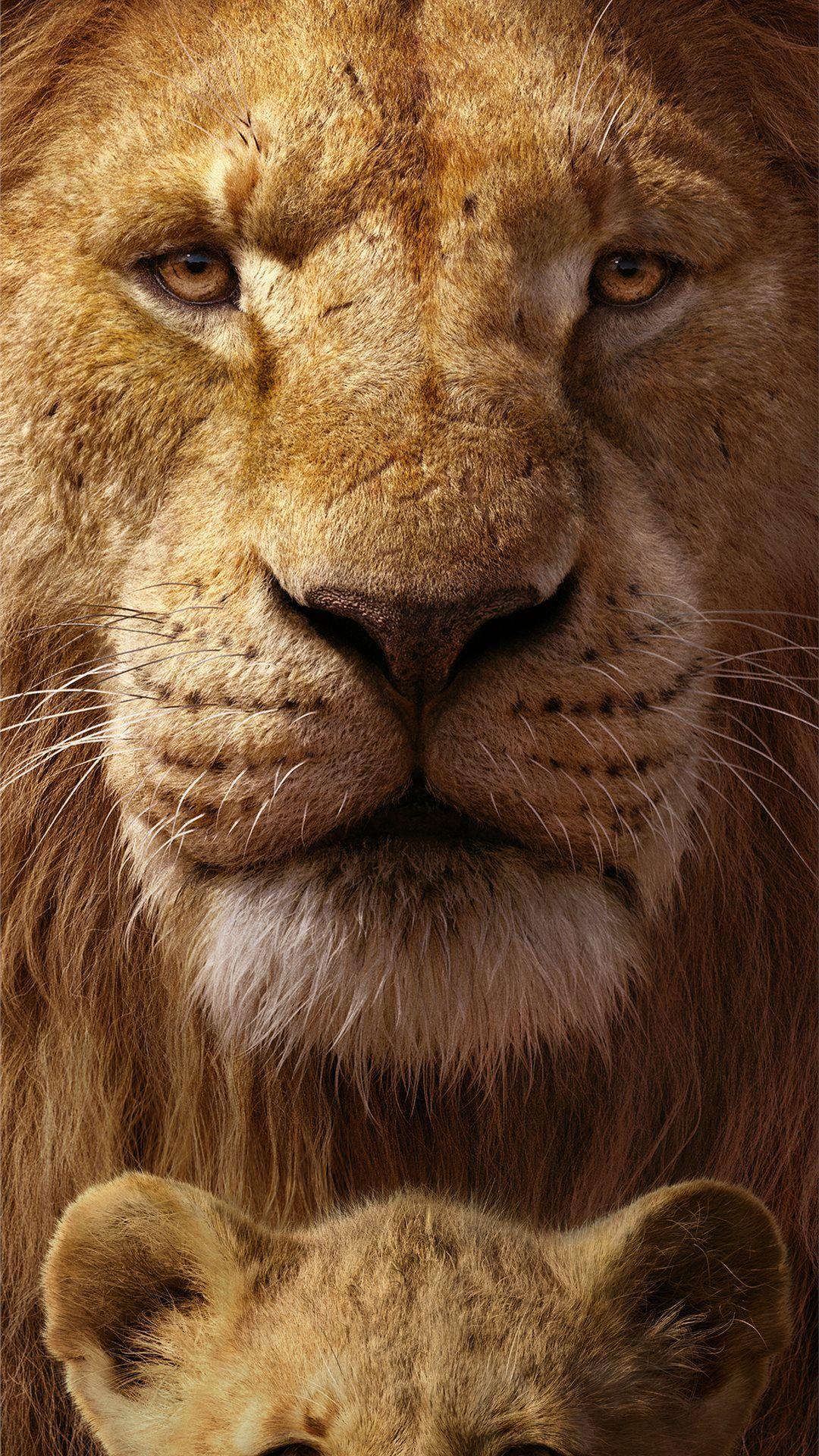 1080x1920 the lion king 8k iPhone Wallpaper Free Download